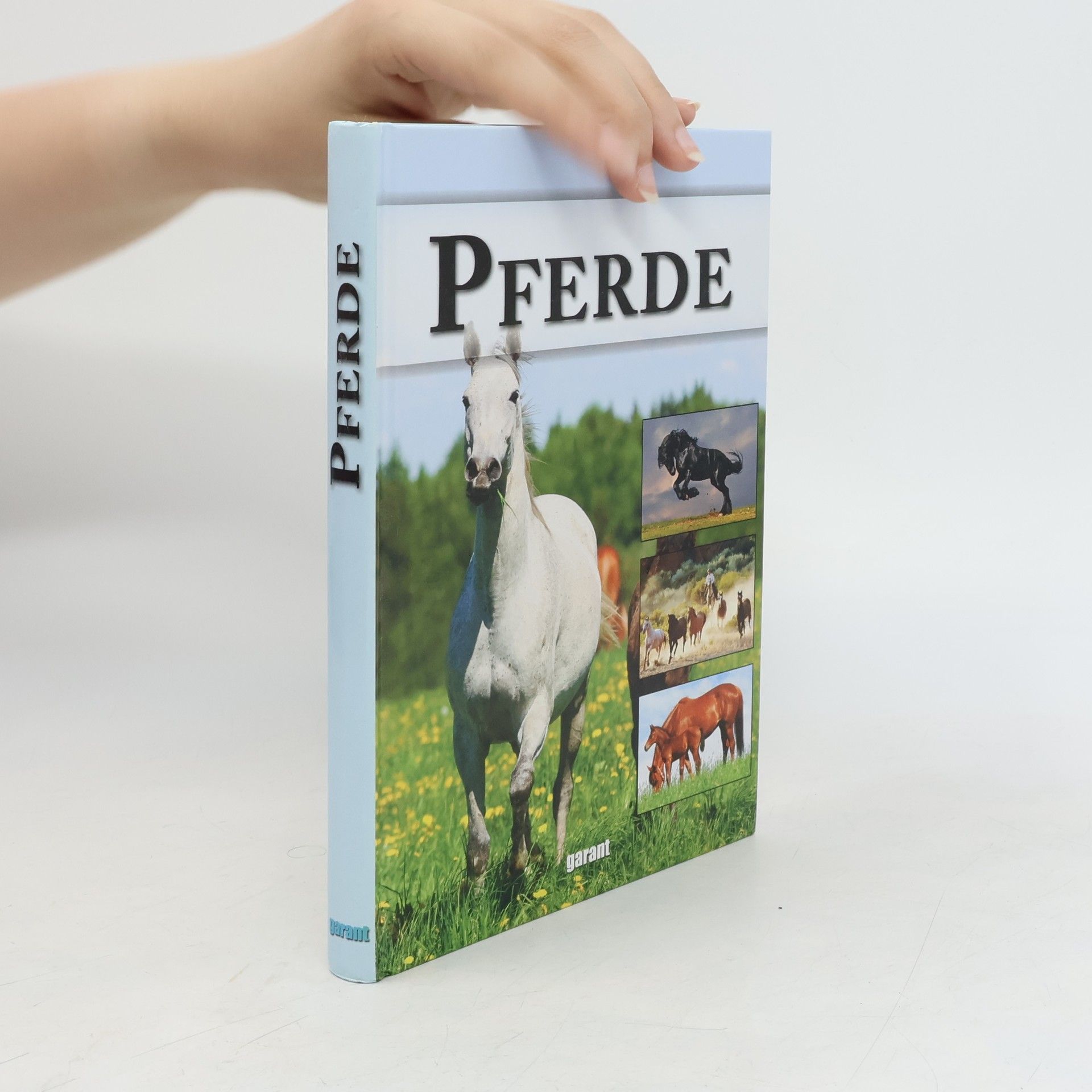 Autorenkollektiv Pferde