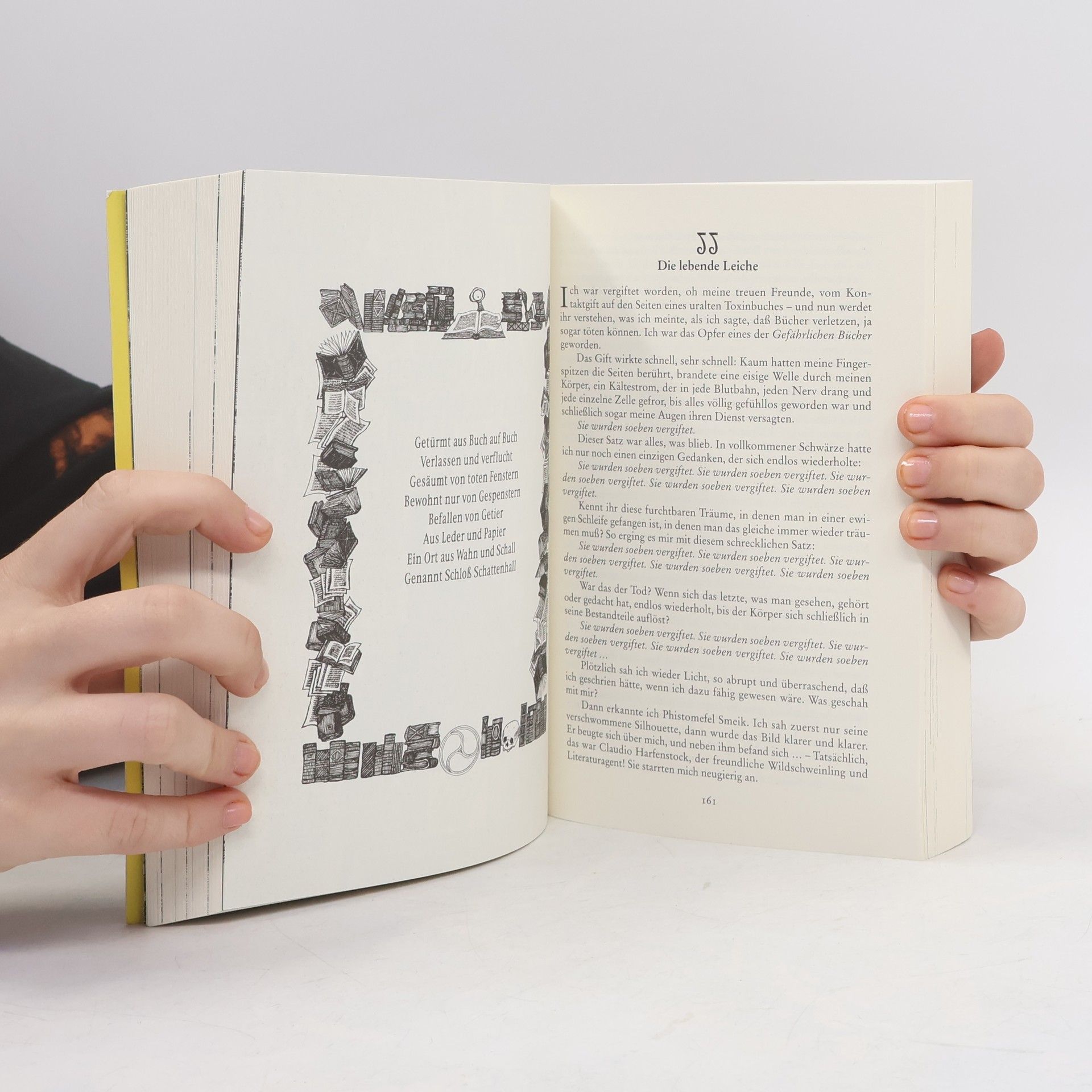 Walter Moers Die Stadt der träumenden Bücher