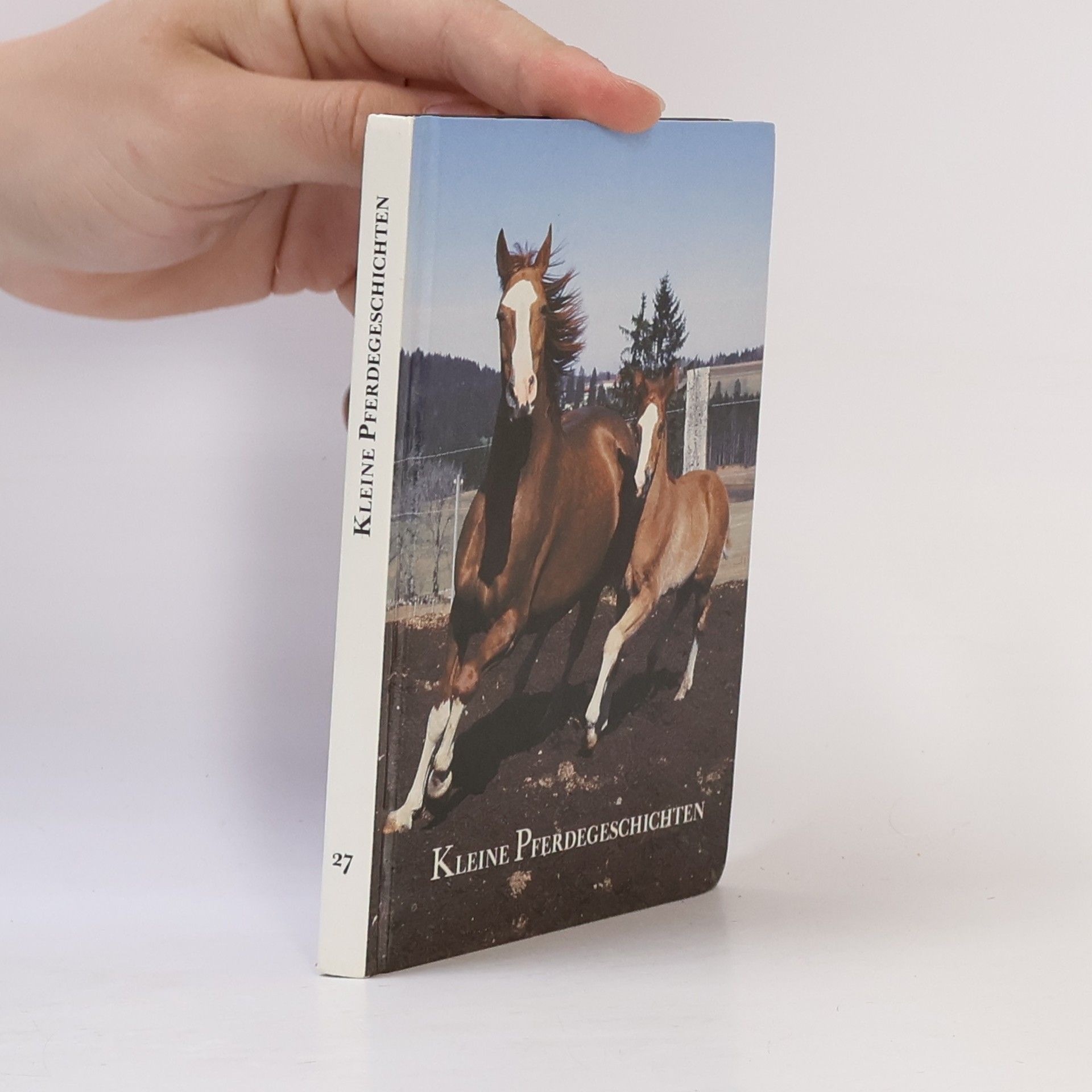 Autorenkollektiv Kleine Pferdegeschichten
