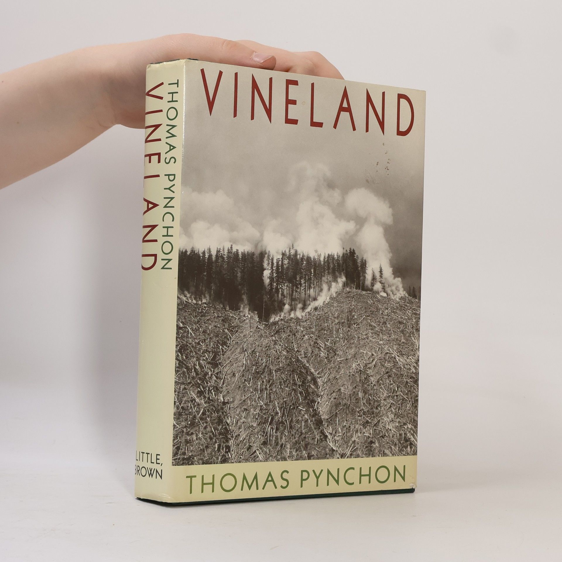 Thomas Pynchon Vineland