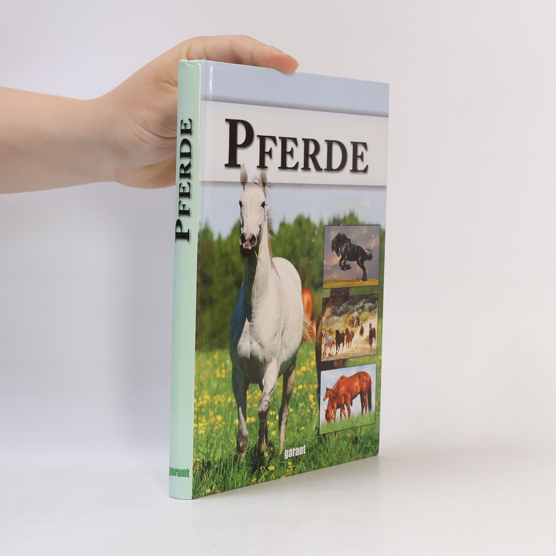 Pferde