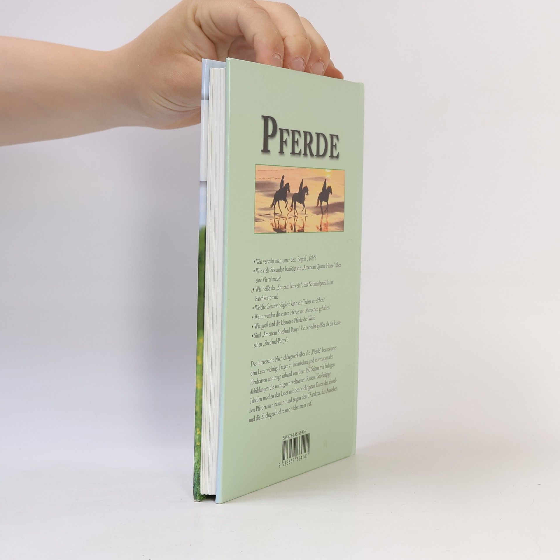 Pferde