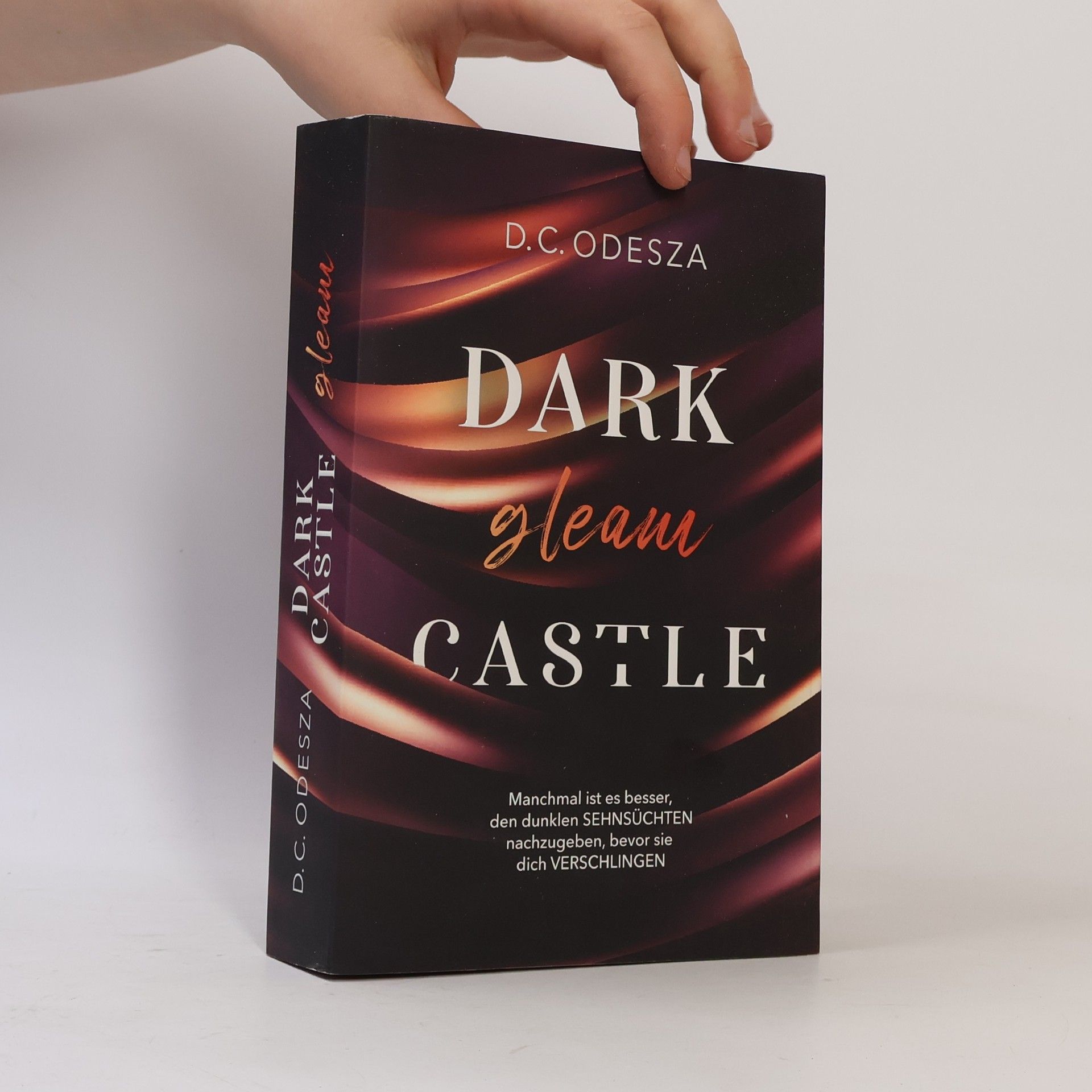 D. C. Odesza Dark gleam Castle: spicy Dark Reverse Harem