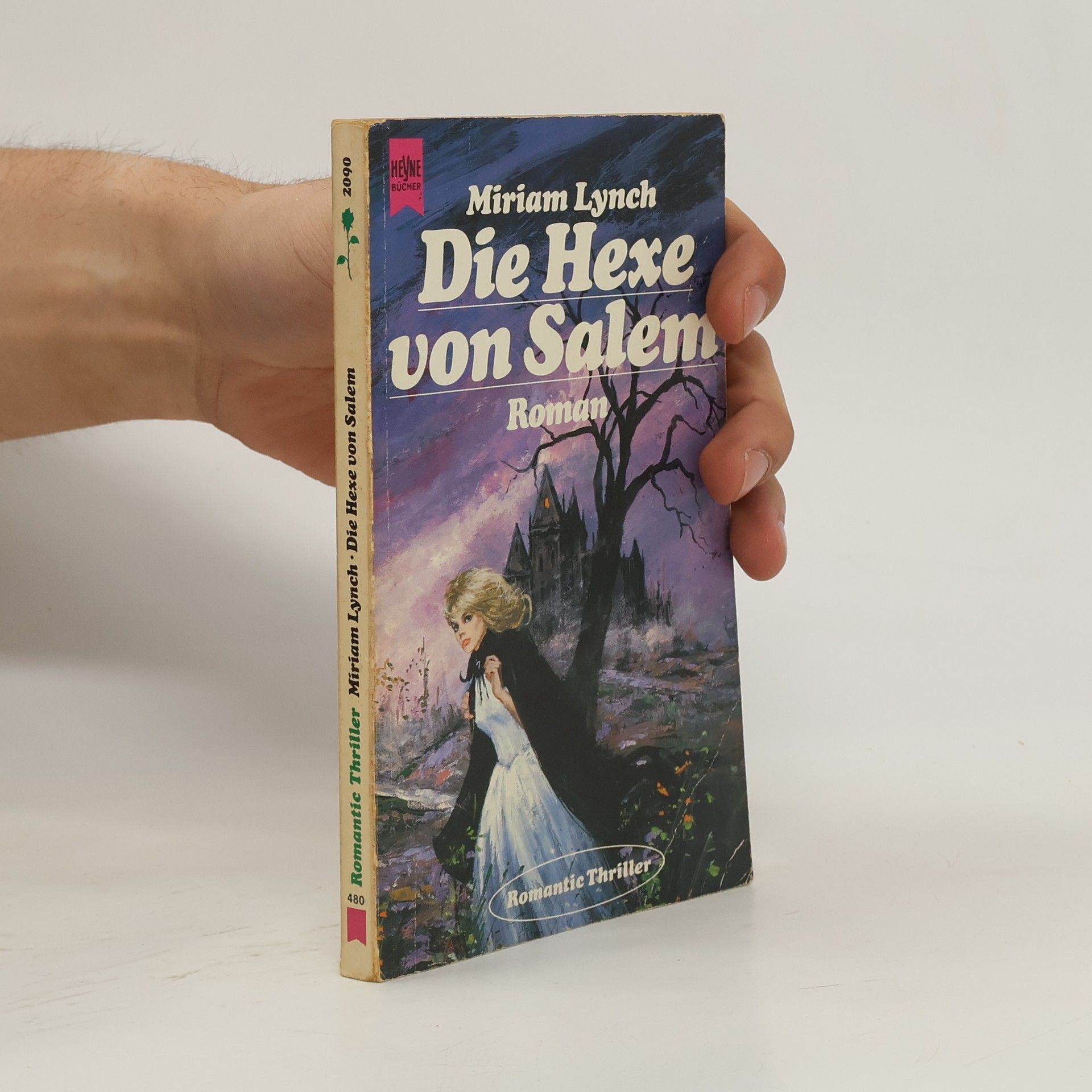 Romantic Thriller: Die Hexe von Salem