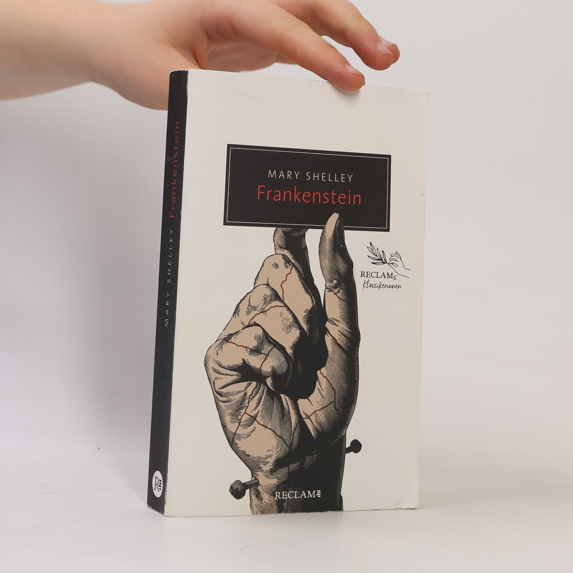 Mary Shelley Frankenstein oder Der moderne Prometheus