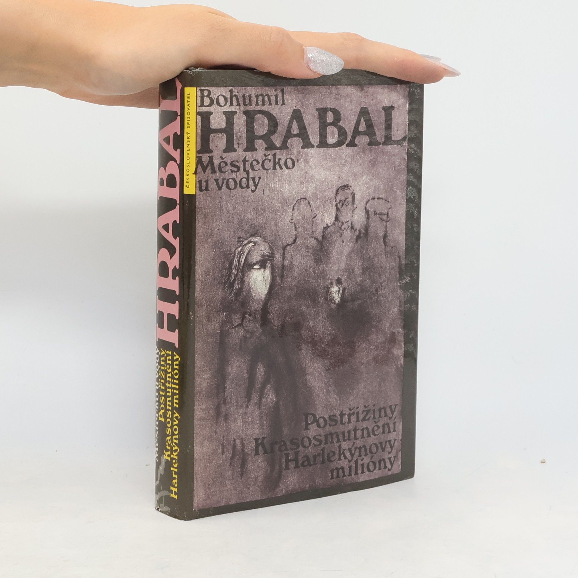 Bohumil Hrabal Městečko u vody