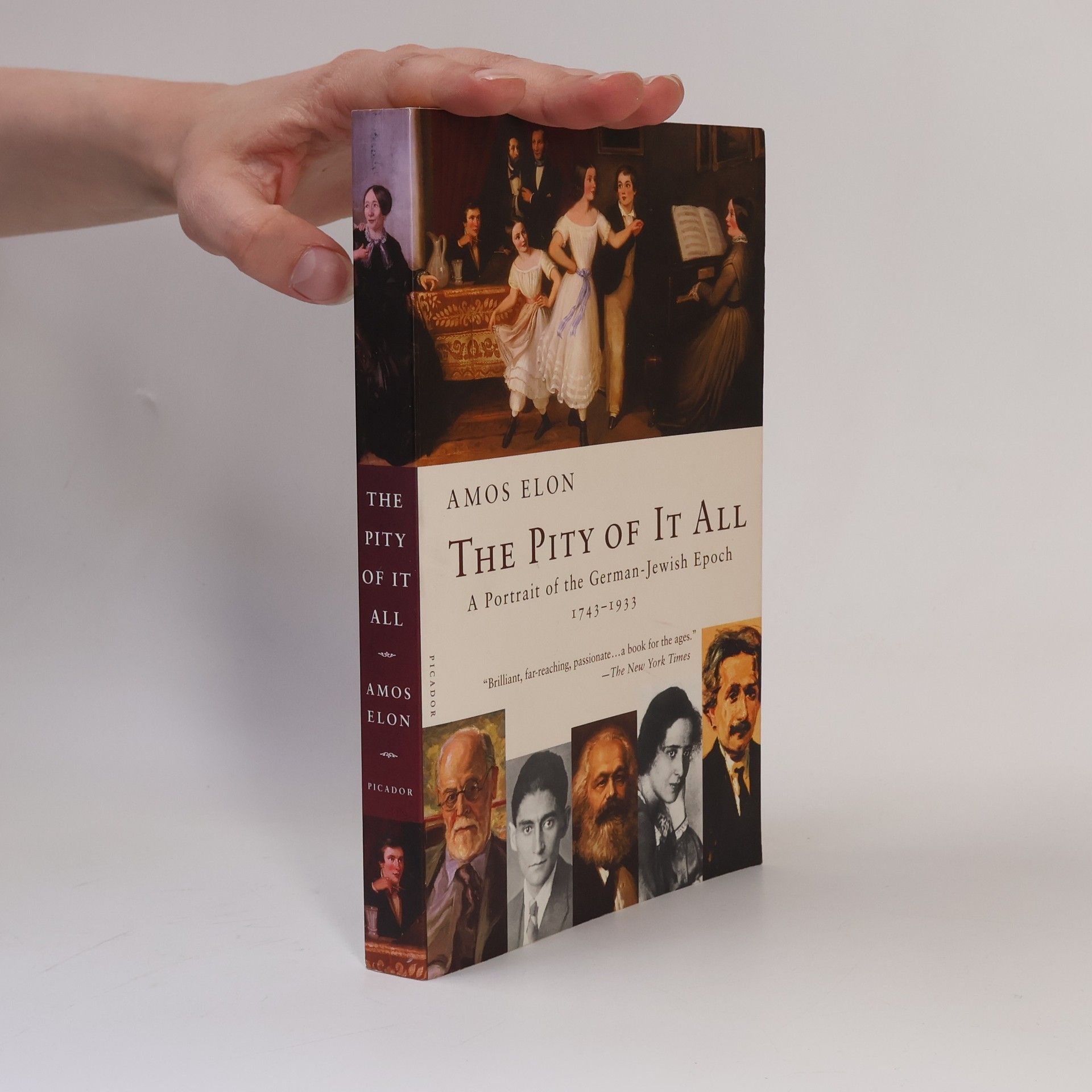 Amos Elon The Pity of It All