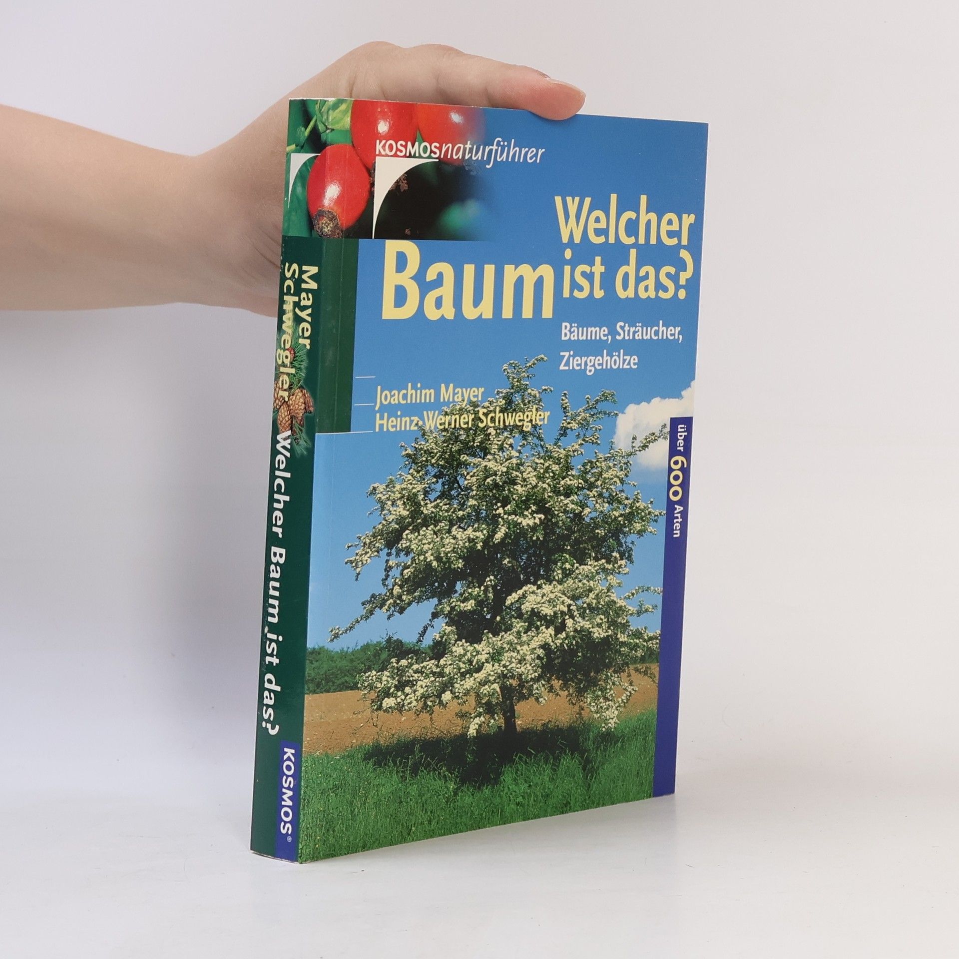 Joachim Mayer Welcher Baum ist das?