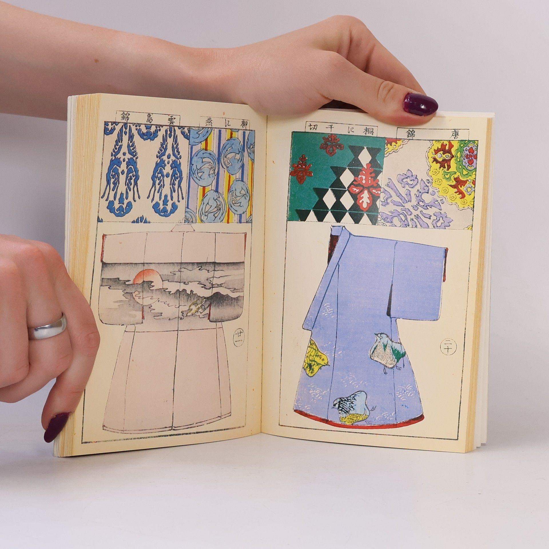 Kolektiv autorů Die schönsten Kimonos : ein Musterbuch aus dem 19. Jahrhundert