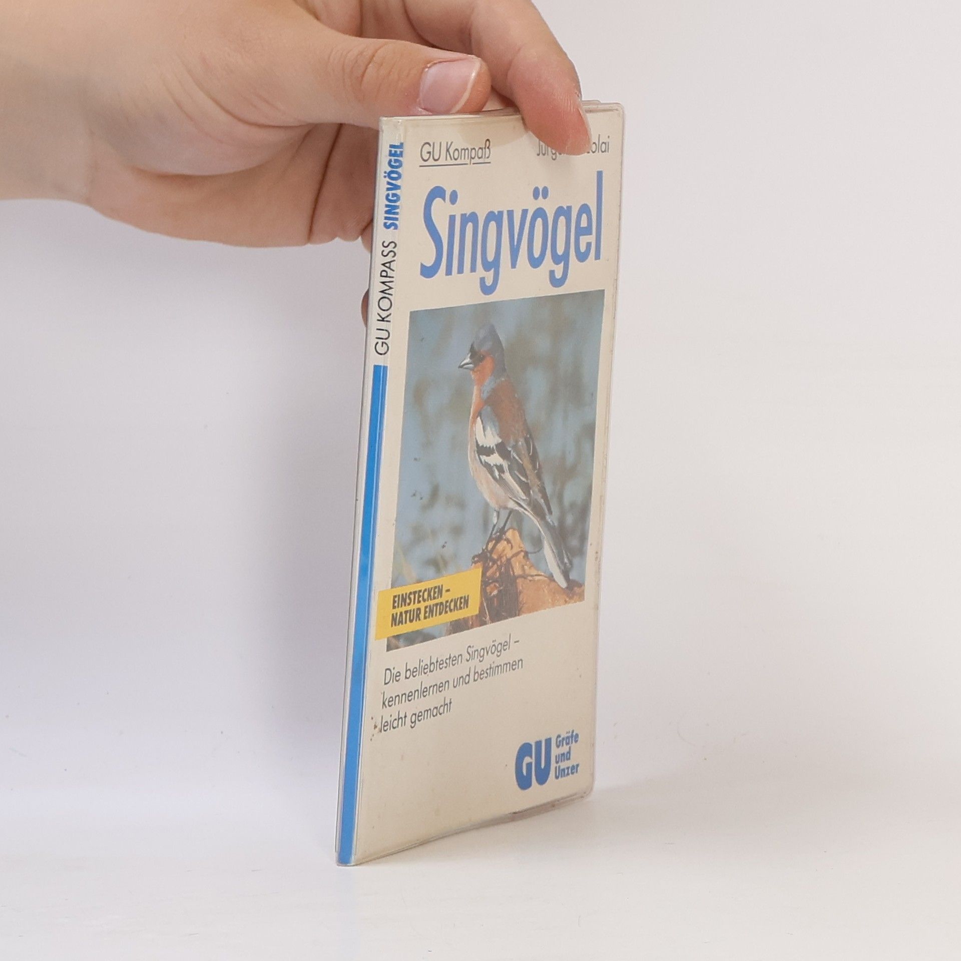 Singvögel