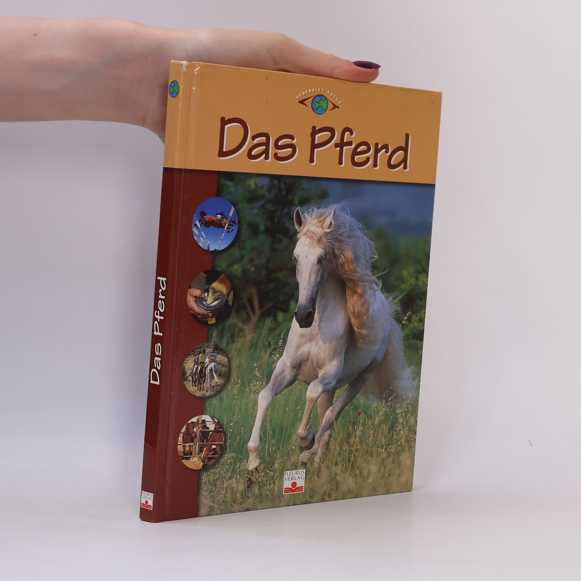 Frédéric Chéhu Das Pferd