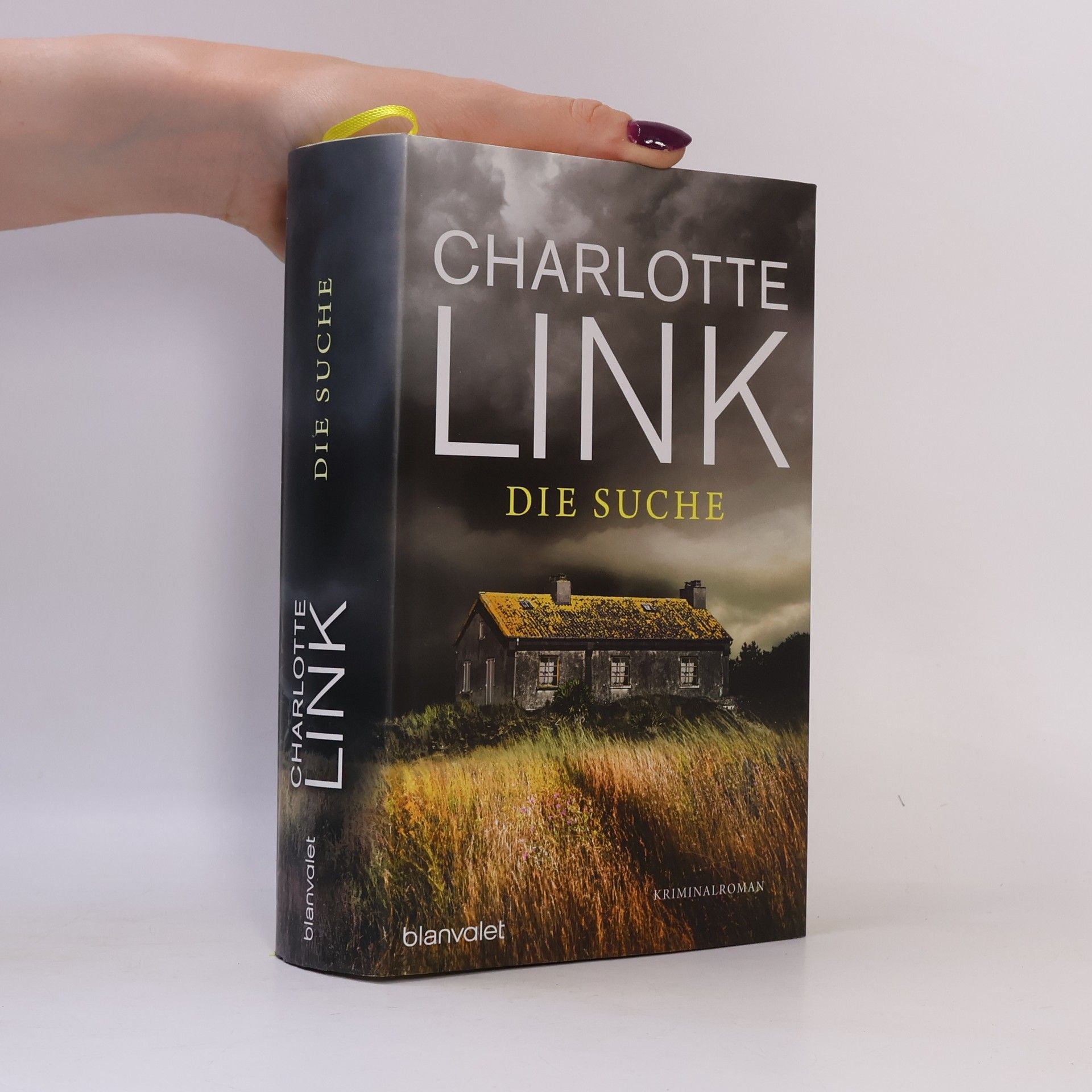 Charlotte Link Die Suche