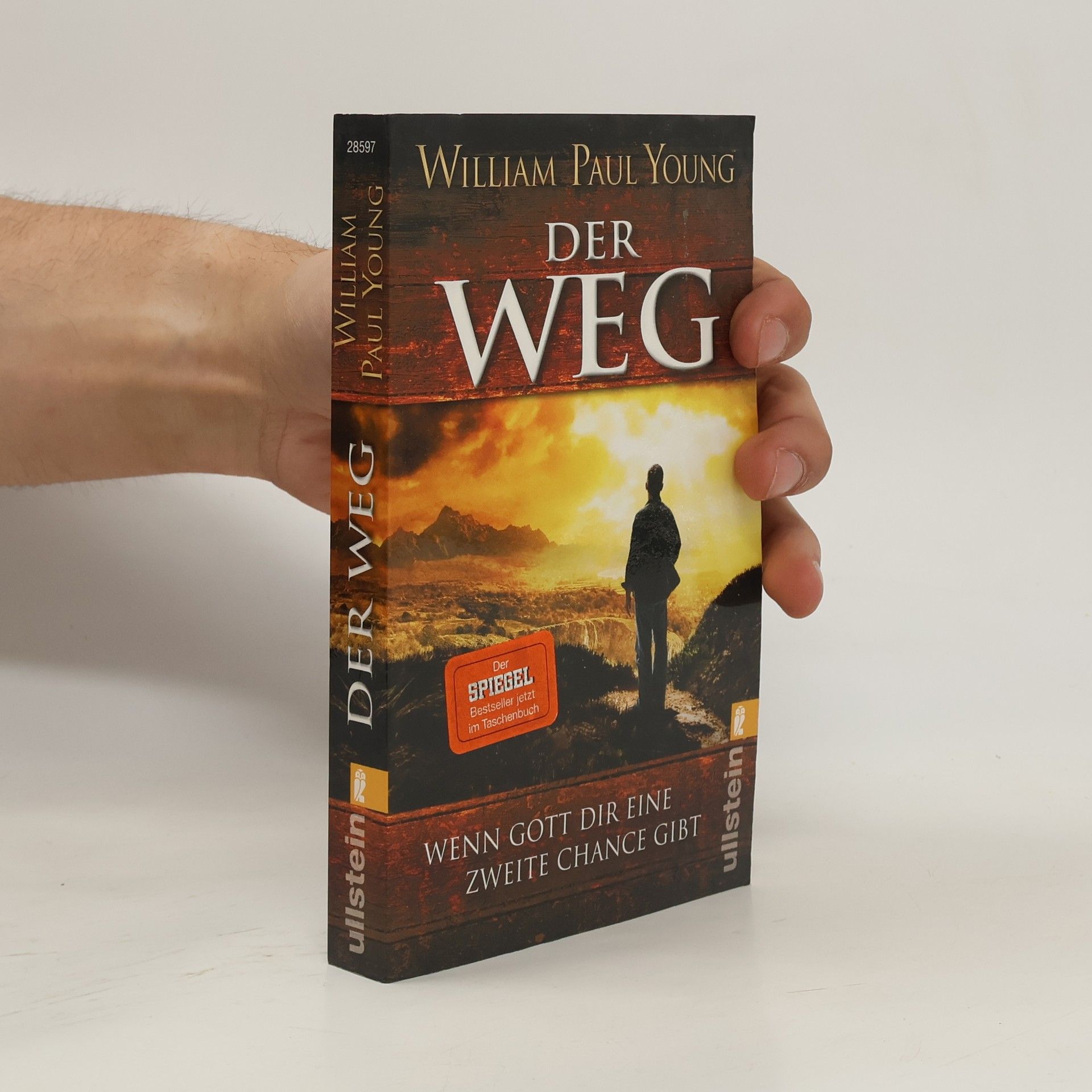 William P. Young Der Weg