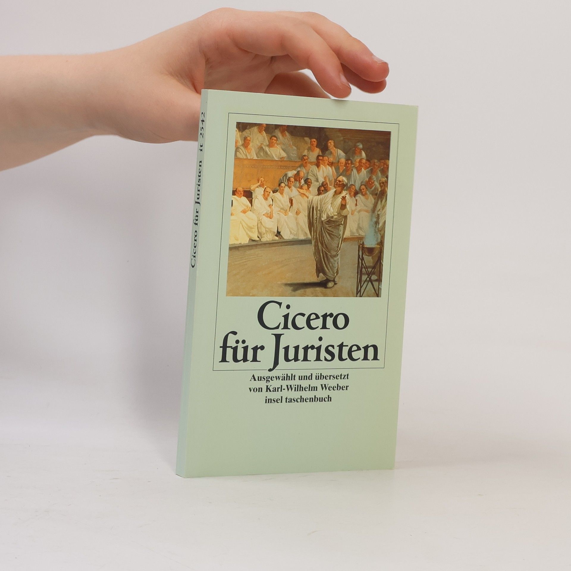 Karl-Wilhelm Weeber Insel Taschenbuch: Cicero für Juristen