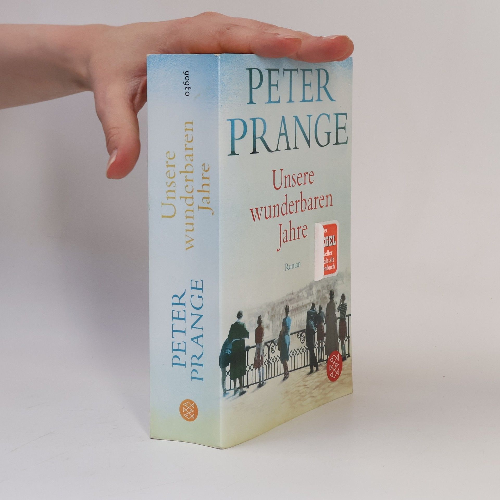 Peter Prange Unsere wunderbaren Jahre