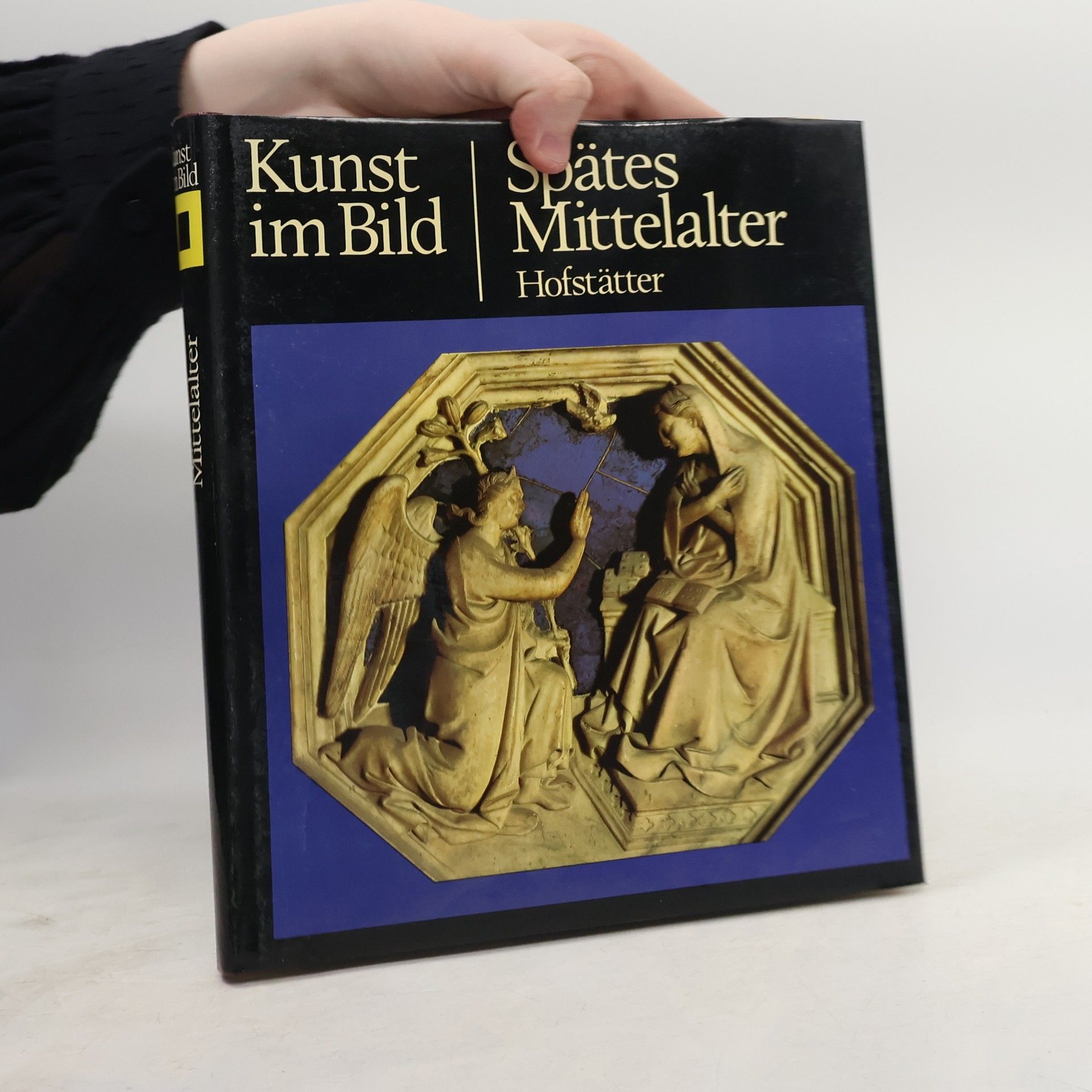 Hans Helmut Hofstätter Kunst im Bild. Spätes Mittelalter