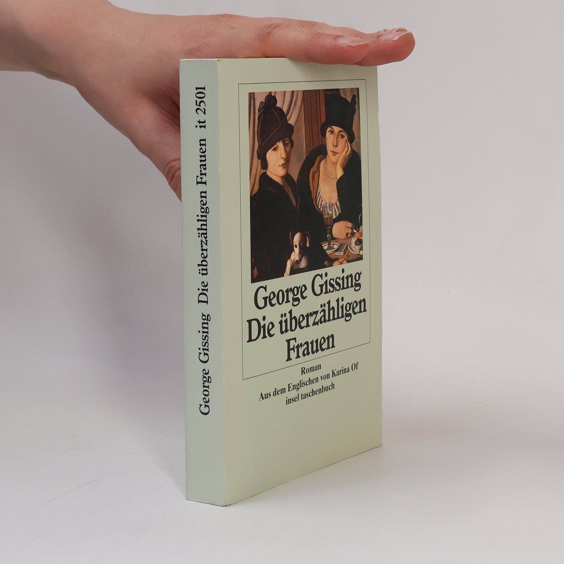 Insel Taschenbuch - 2501: Die überzähligen Frauen. Roman