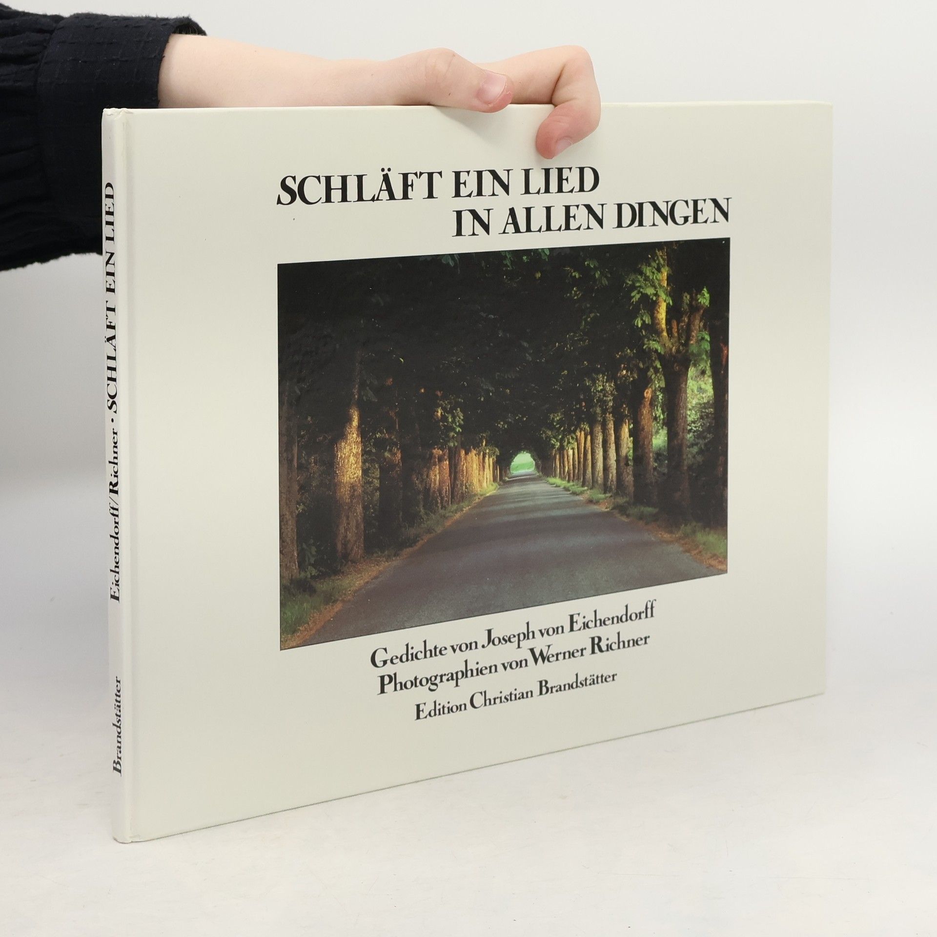 Werner Richner Schläft ein Lied in allen Dingen Gedichte mit 29 Reproduktionen nach Photographien von Werner Richner