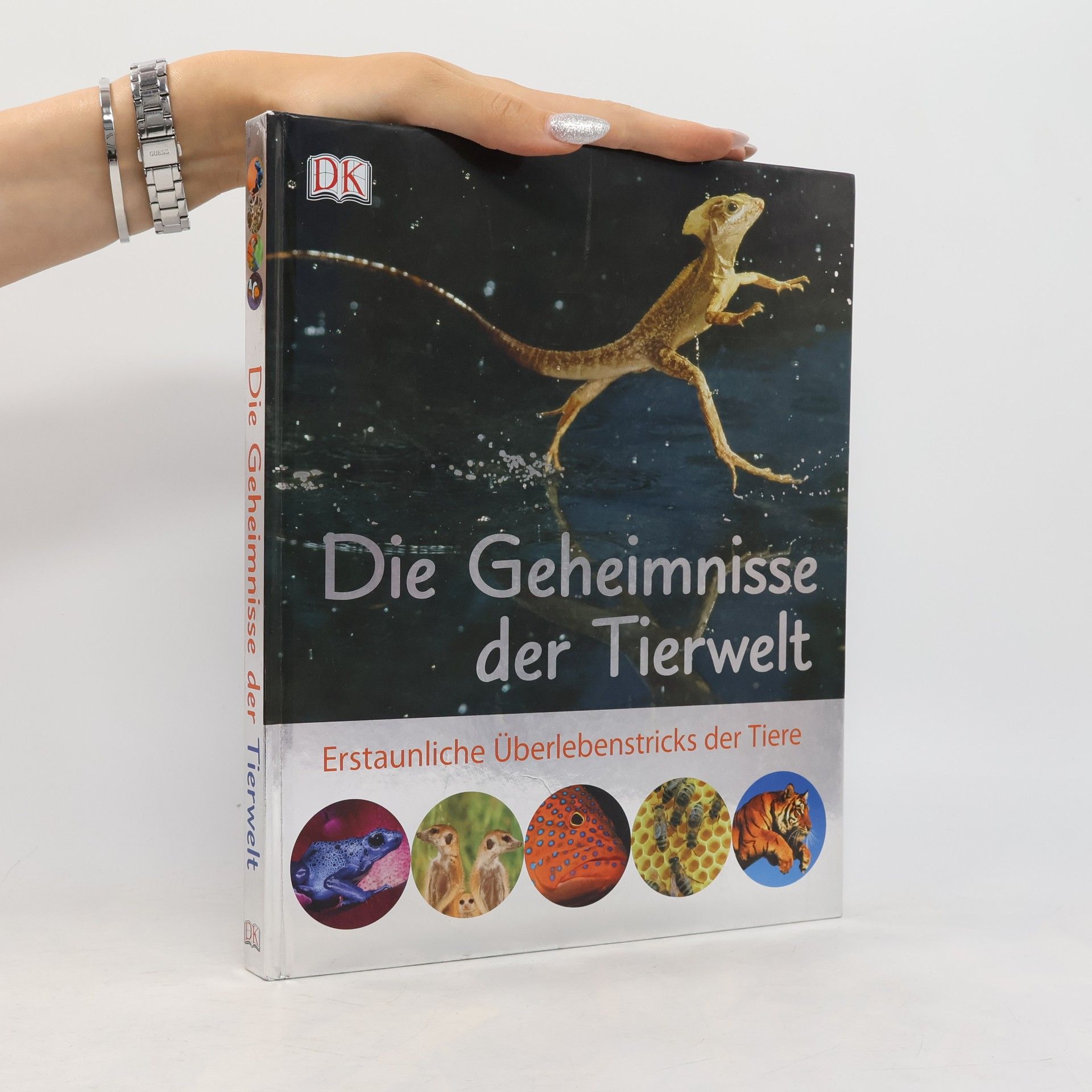 Die Welt der Säugetiere