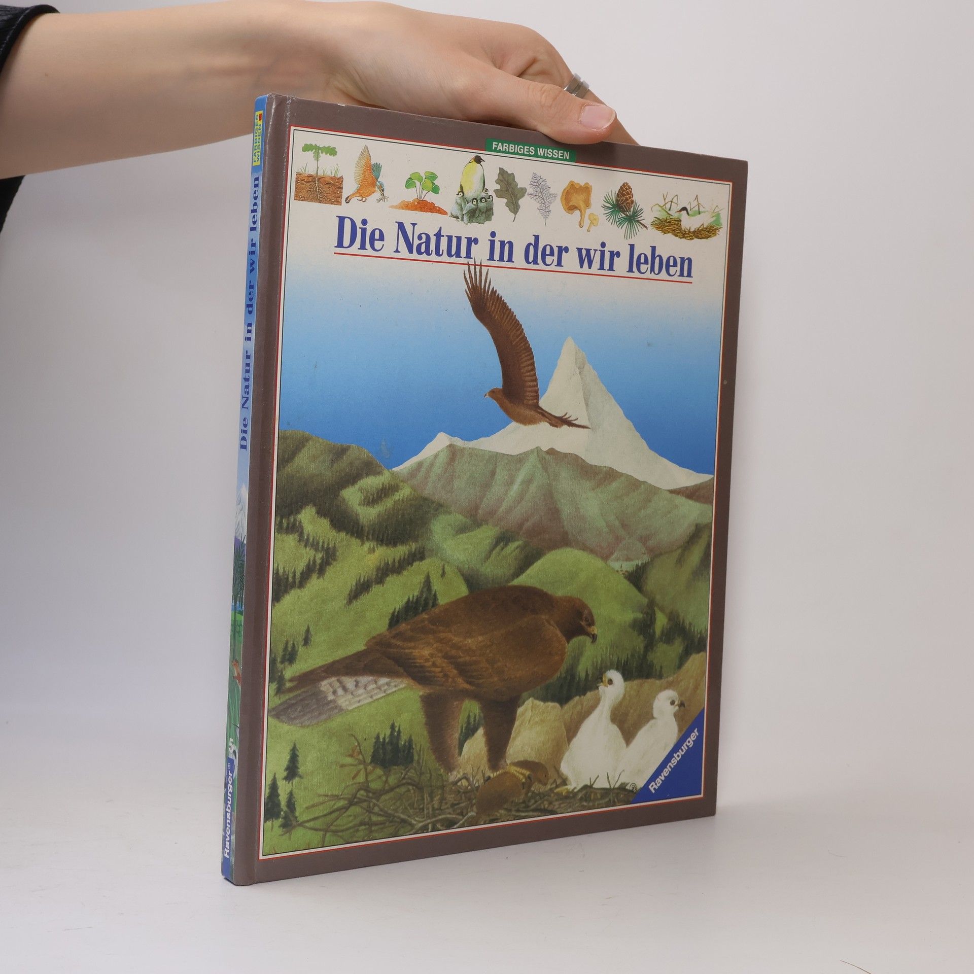 Gaud Morel Die Natur in der wir leben