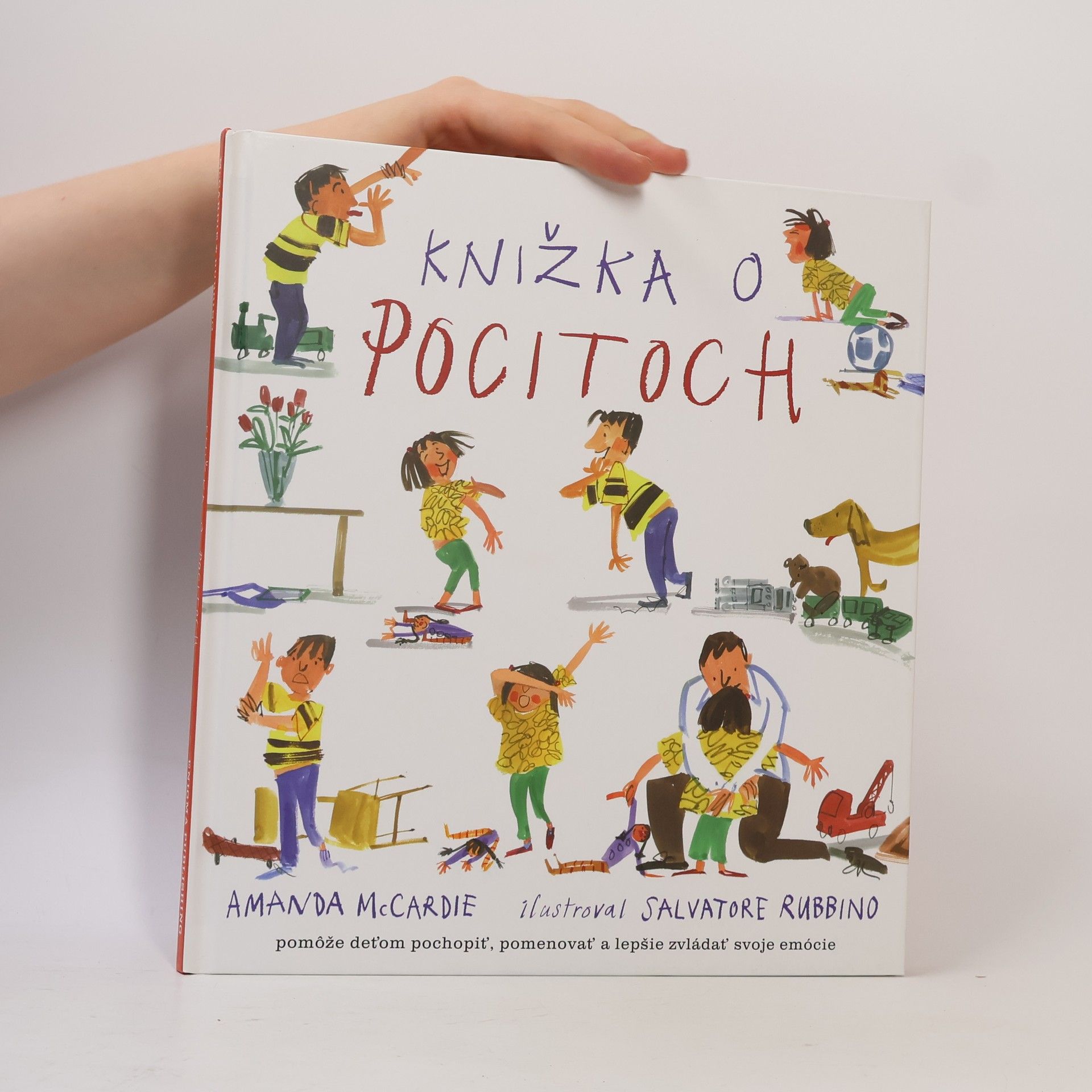 Amanda McCardie Knižka o pocitoch