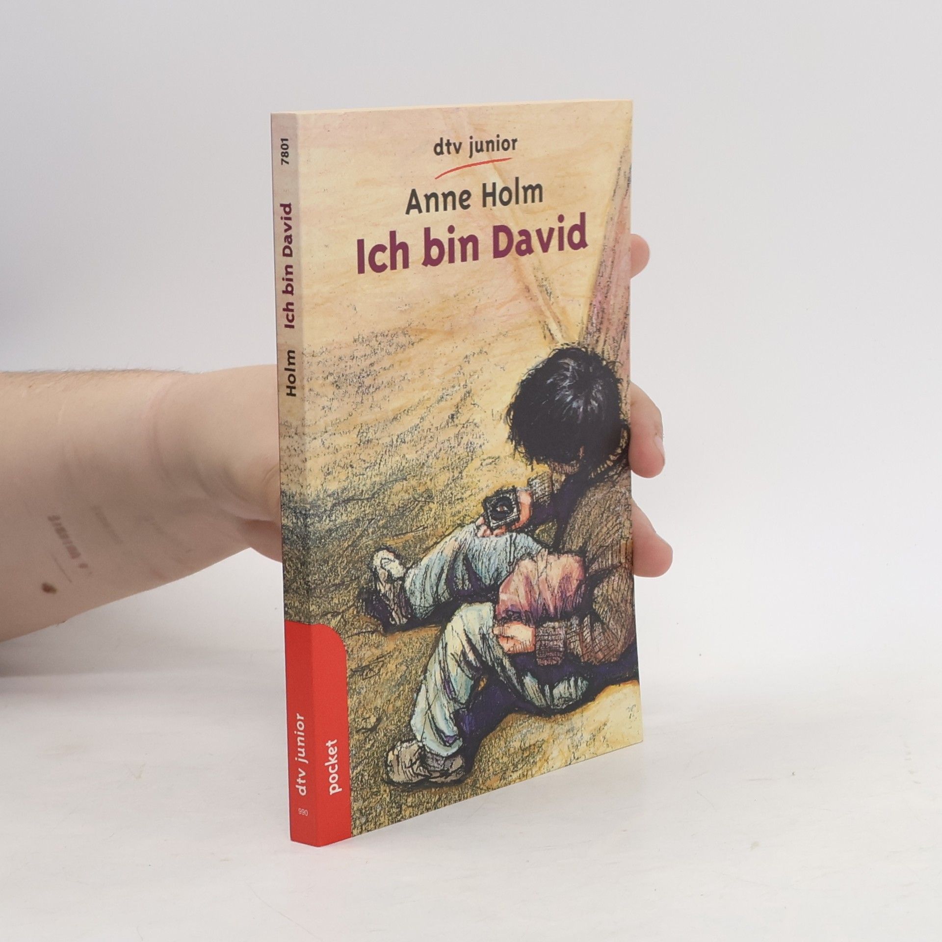 Anne Holm Ich bin David