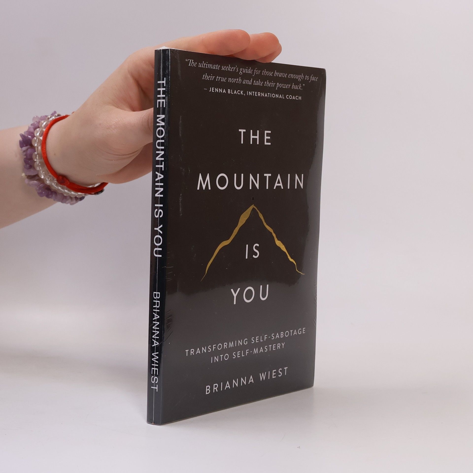 Brianna Wiest The Mountain Is You