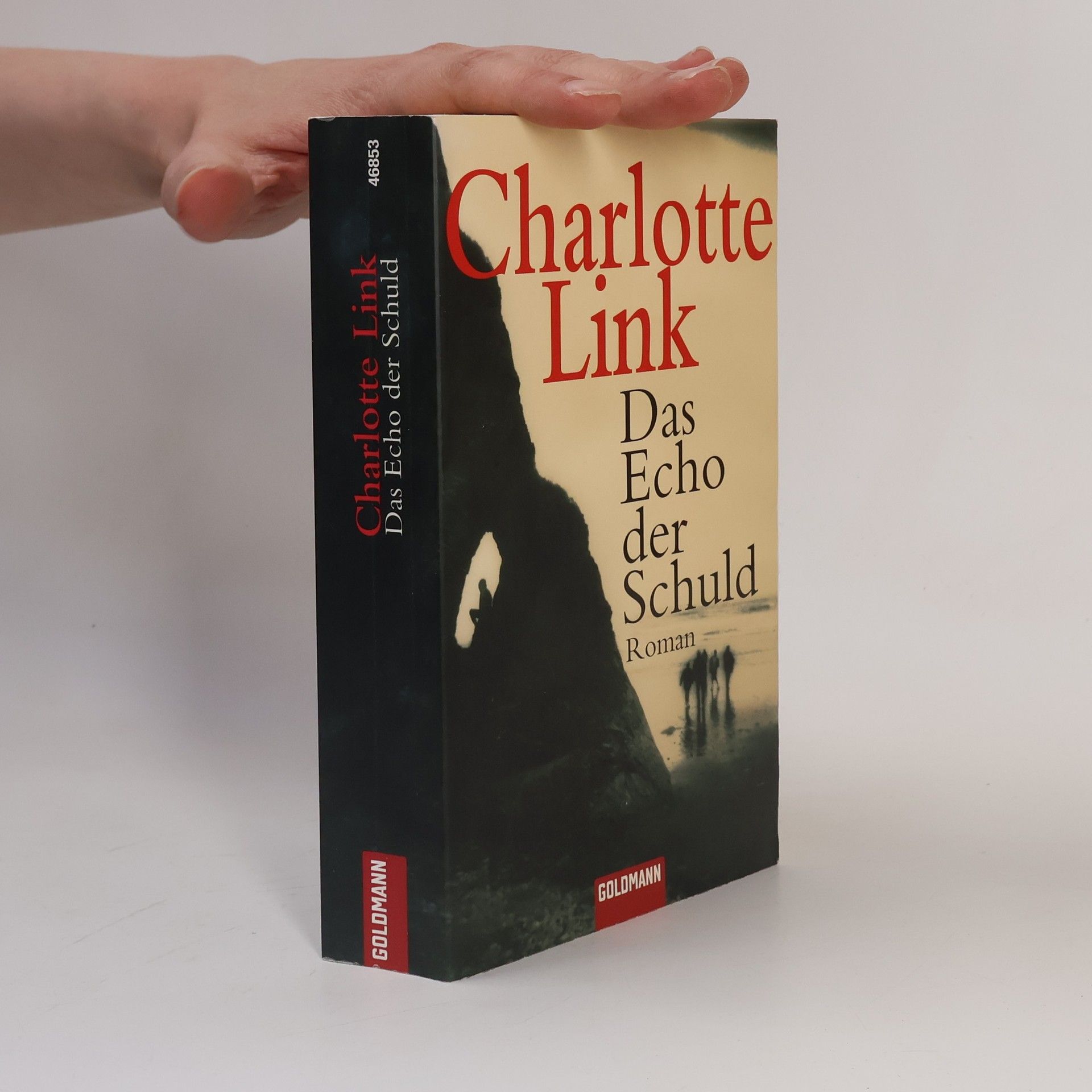 Charlotte Link Das Echo der Schuld