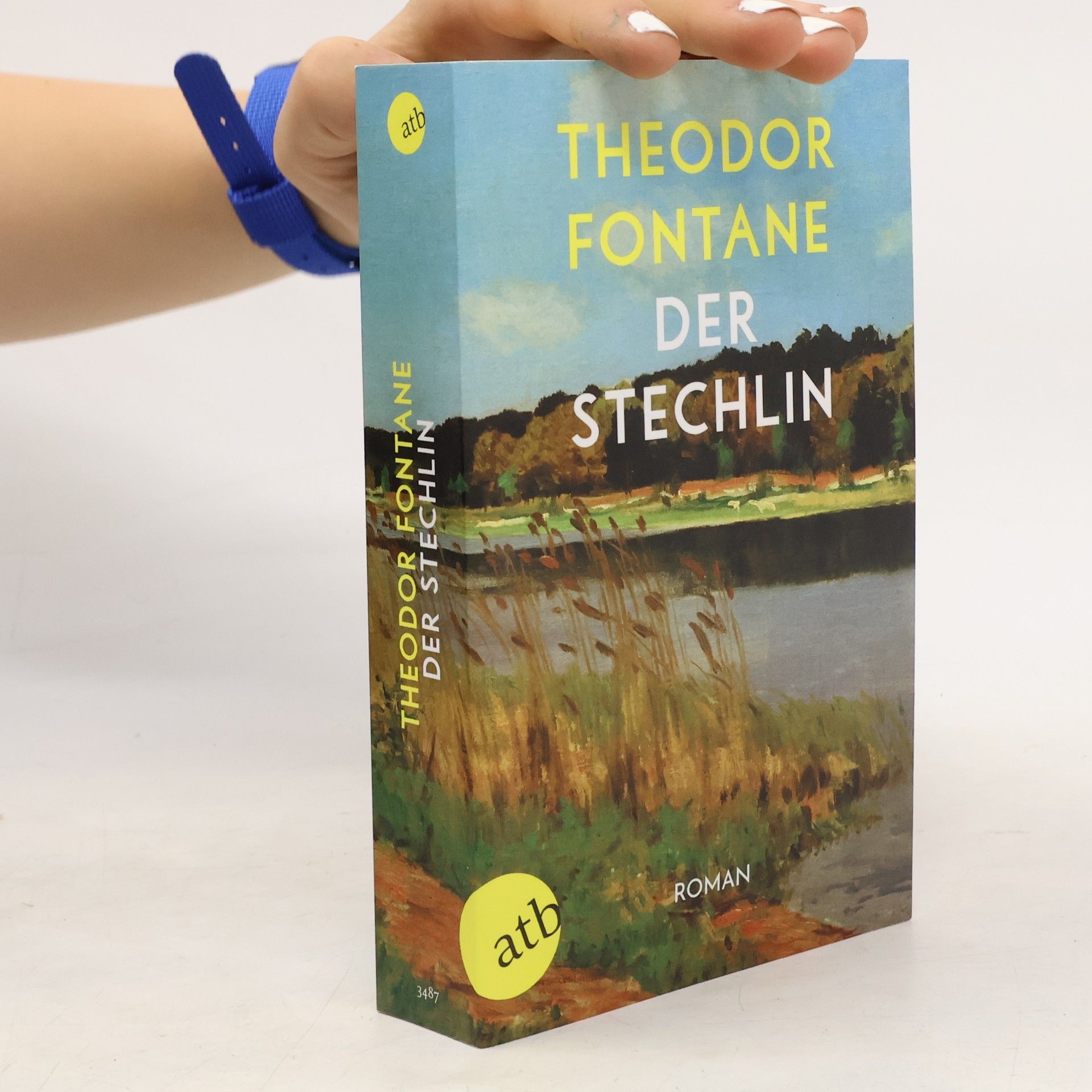 Theodor Fontane Der Stechlin