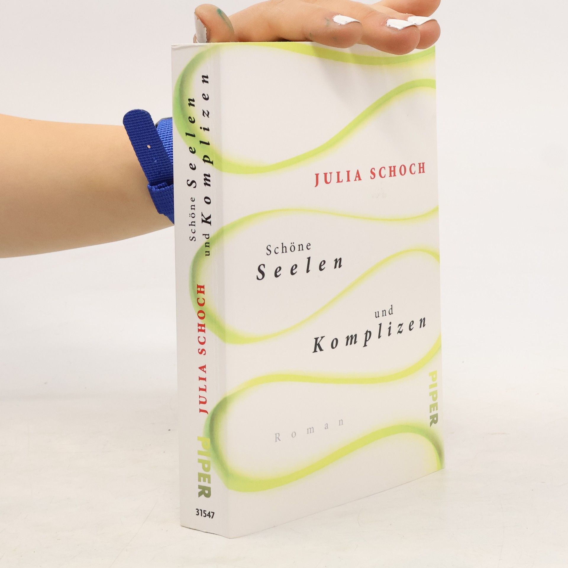 Julia Schoch Schöne Seelen und Komplizen. Roman