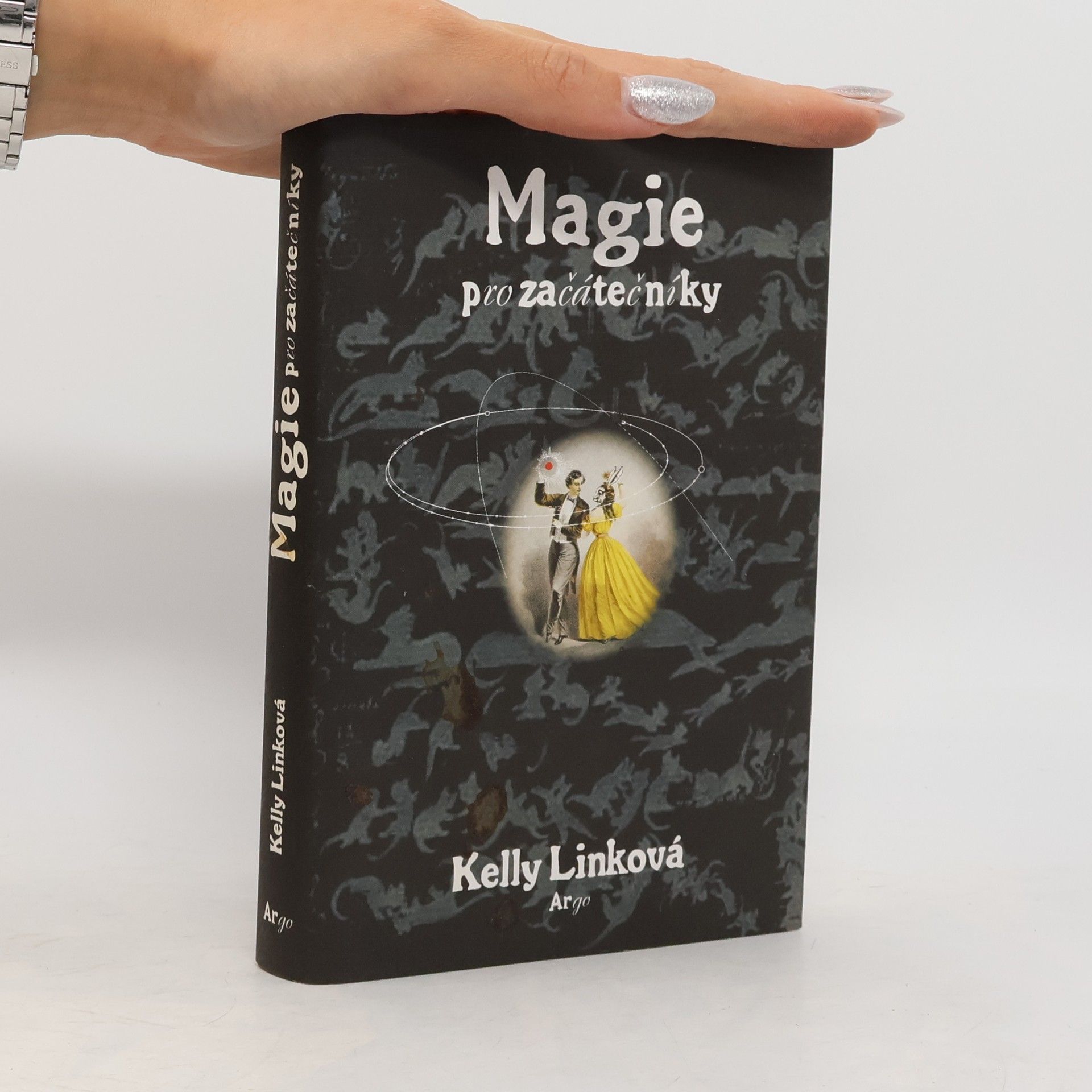 Kelly Link Magie pro začátečníky