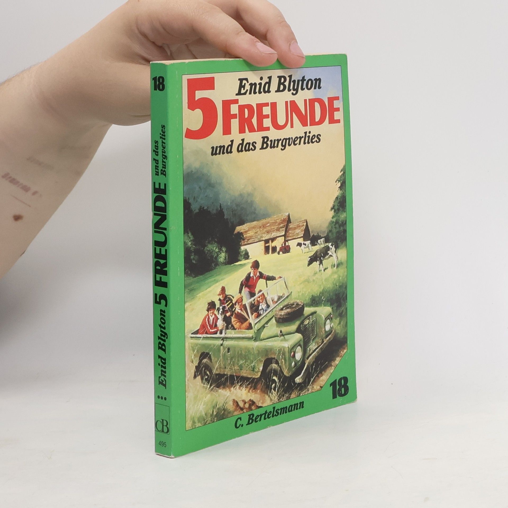 Enid Blyton Fünf Freunde und das Burgverlies
