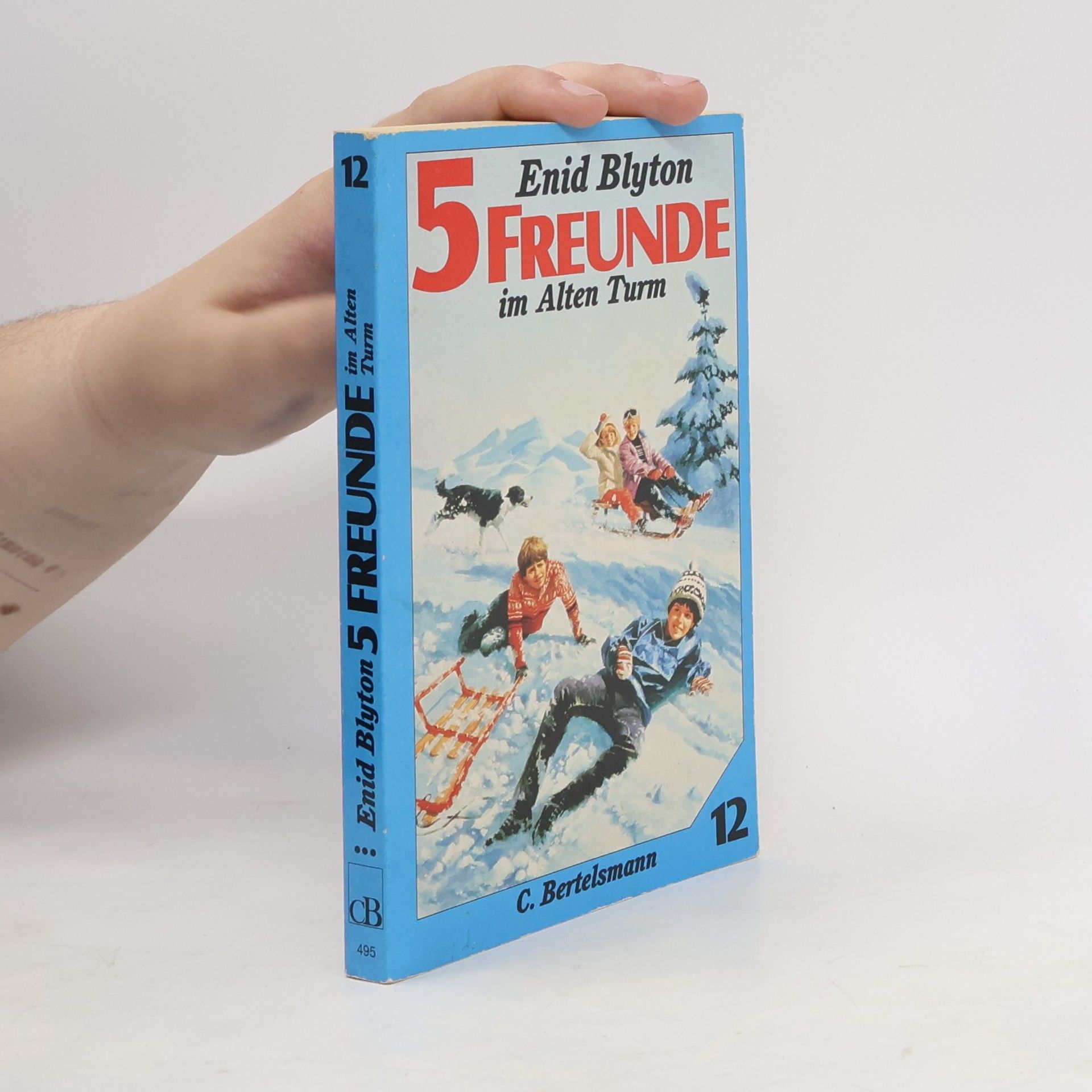 Enid Blyton 5 Freunde im alten Turm
