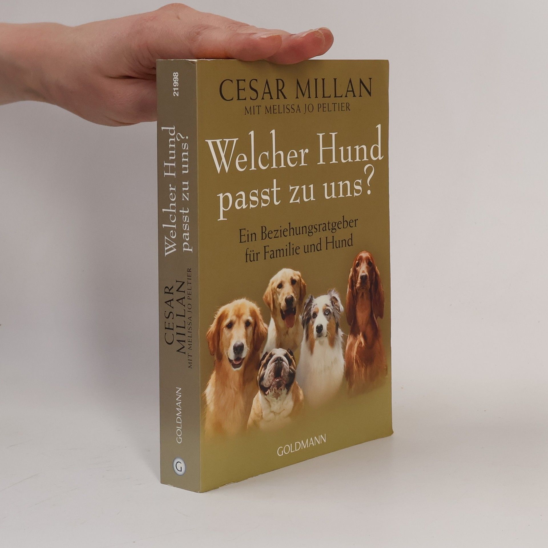 Cesar Millan Welcher Hund passt zu uns?