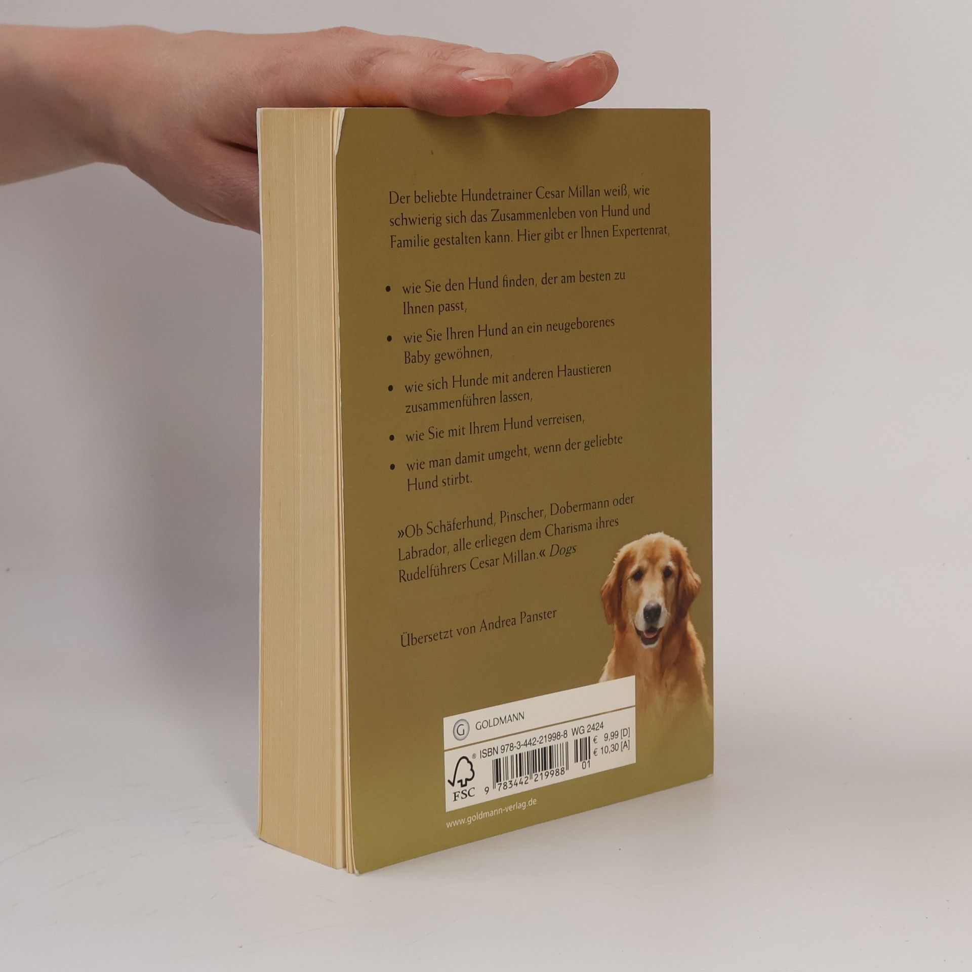 Cesar Millan Welcher Hund passt zu uns?