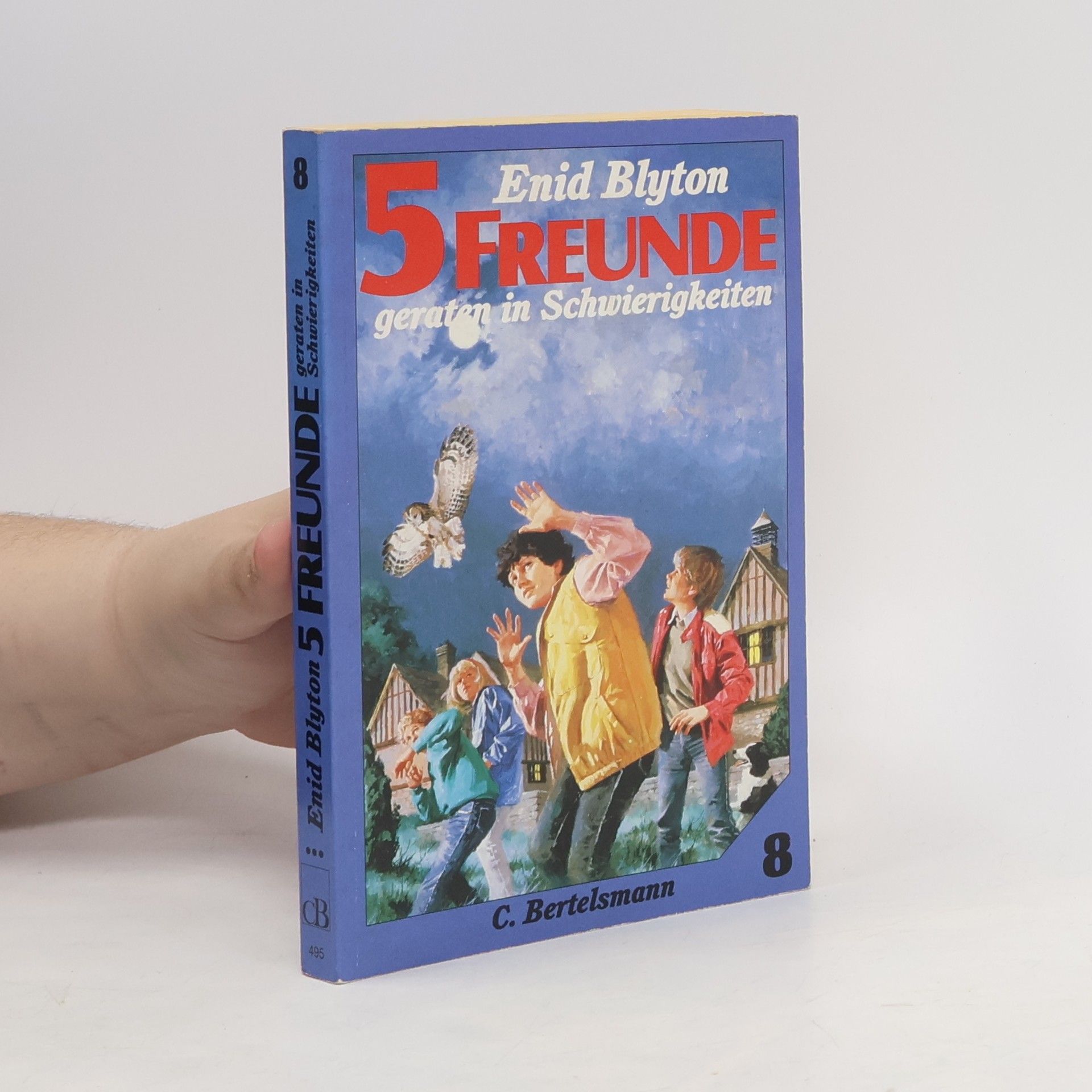 Enid Blyton 5 Freunde geraten in Schwierigkeiten