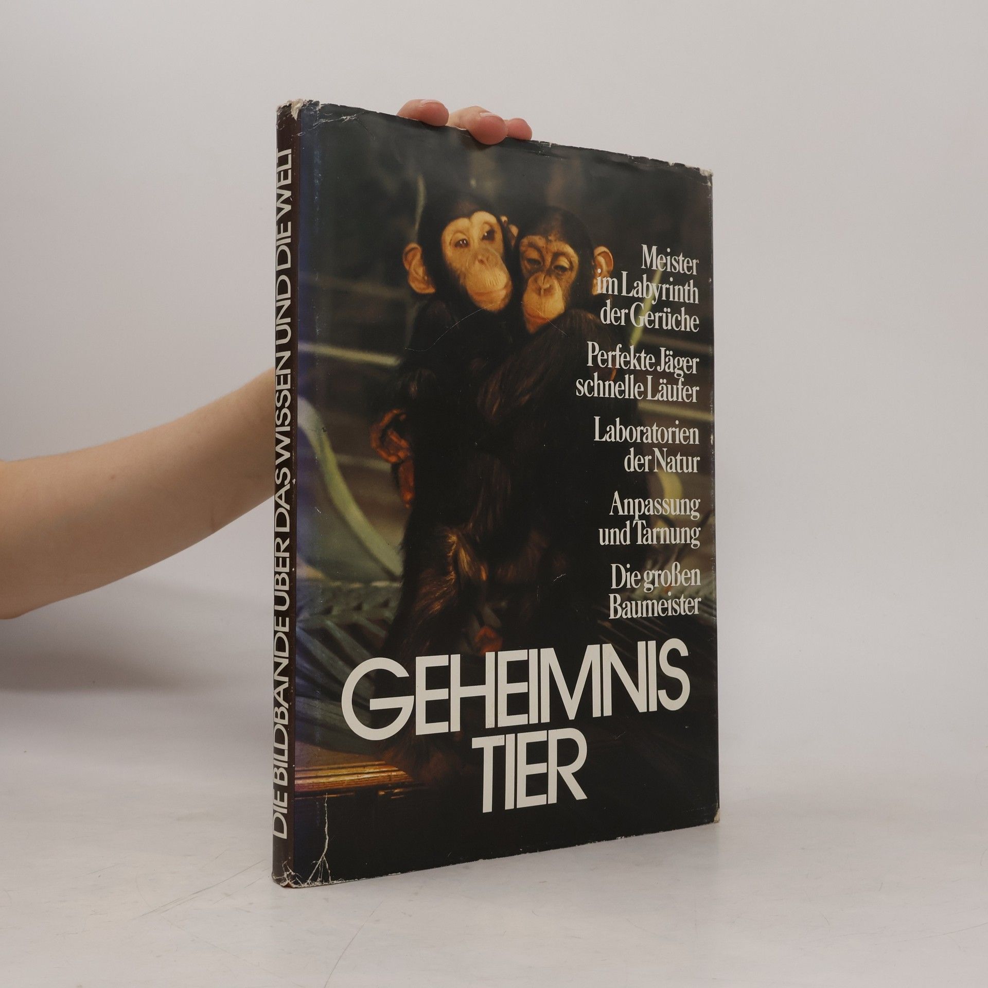 Autorenkollektiv Geheimnis Tier