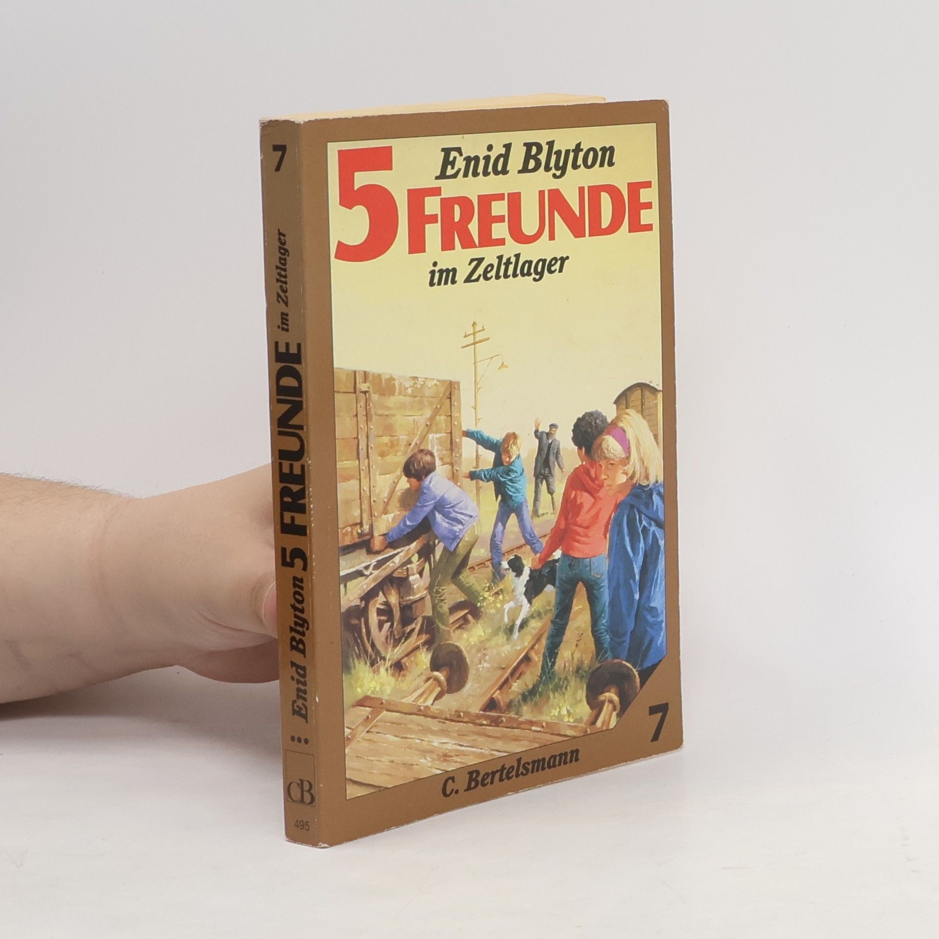 Enid Blyton Fünf Freunde im Zeltlager: Taschenbuchausgabe