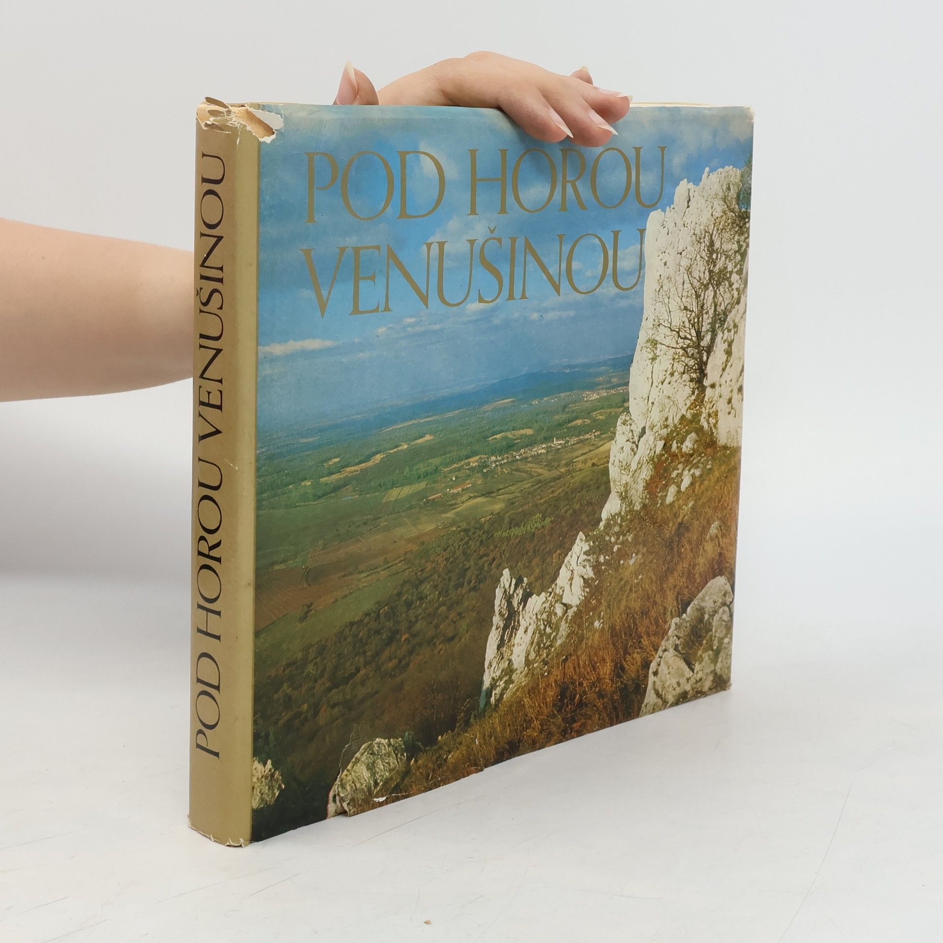 Jindřich Grepl Pod horou Venušinou