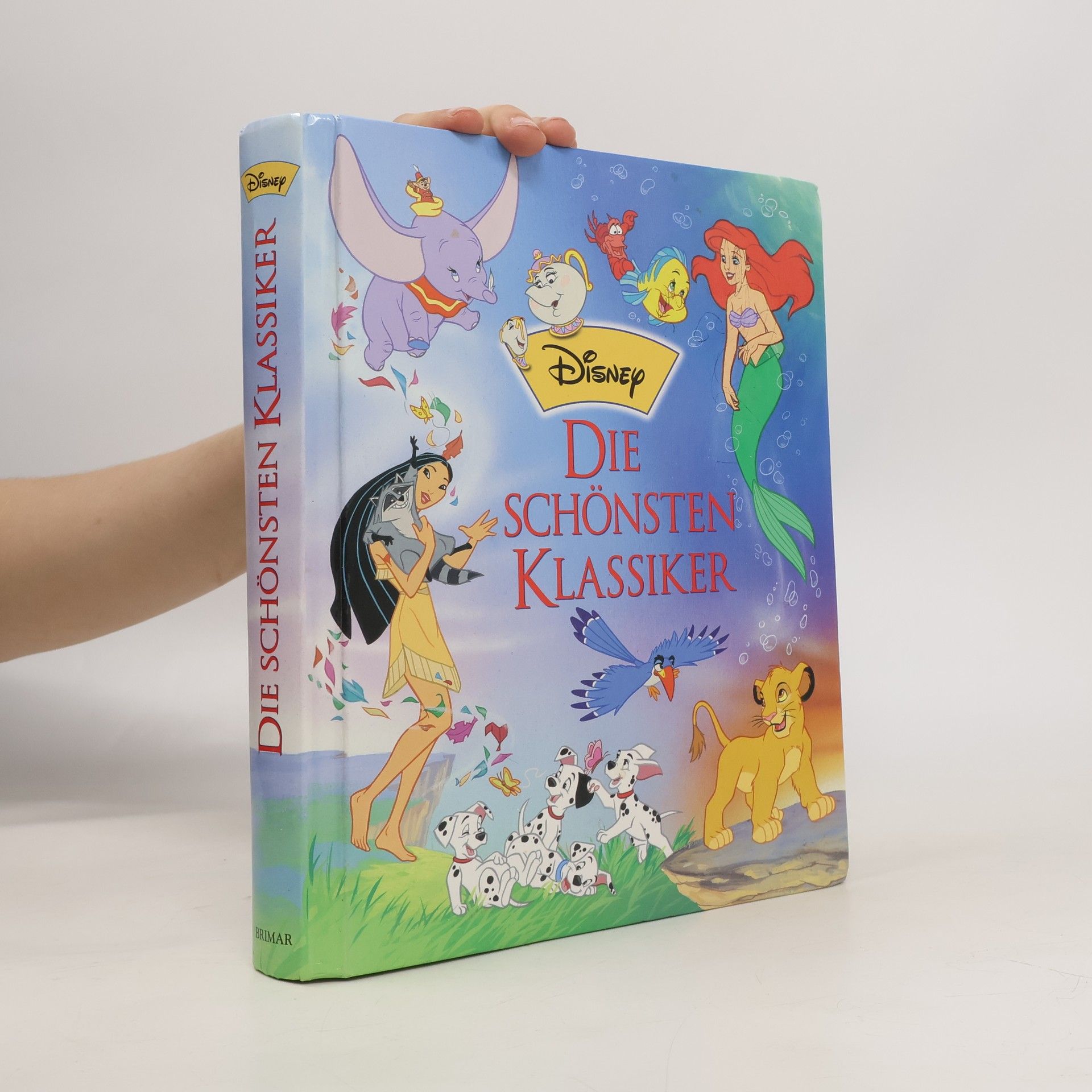 Kolektiv autorů Die schönsten Klassiker