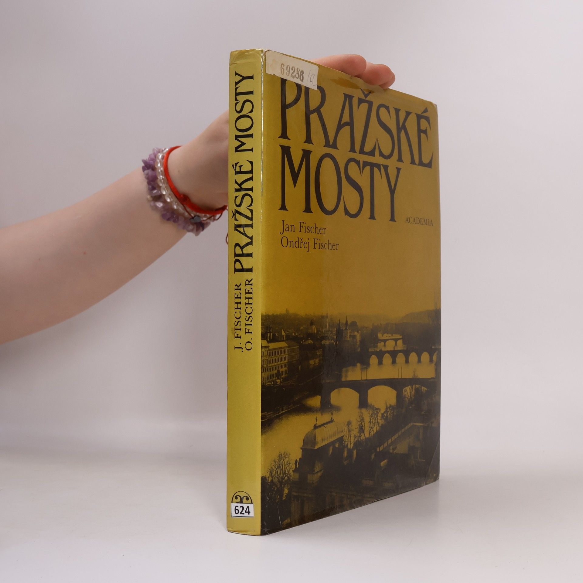Ondřej Fischer Pražské mosty