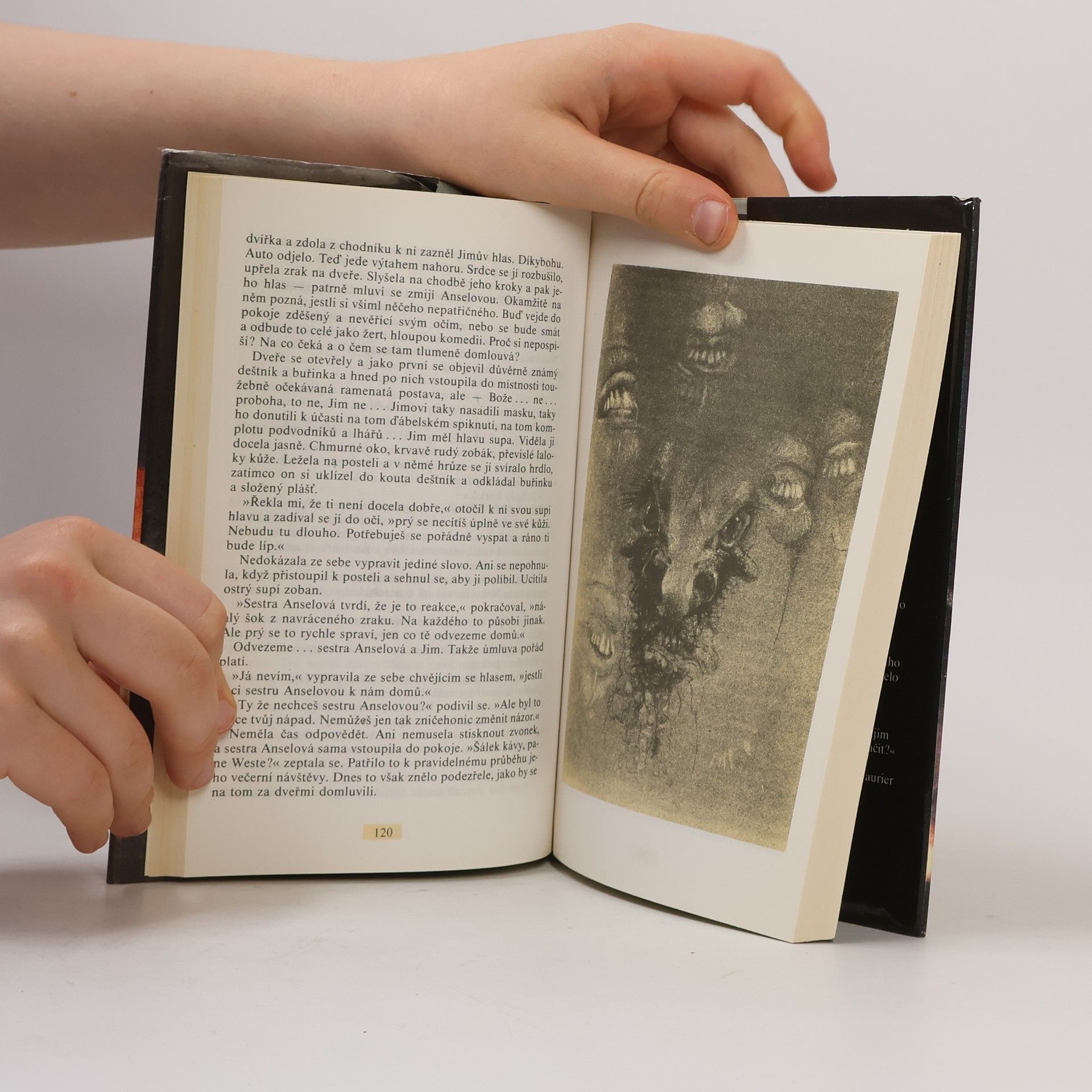 Daphne du Maurier Ptáci a jiné povídky