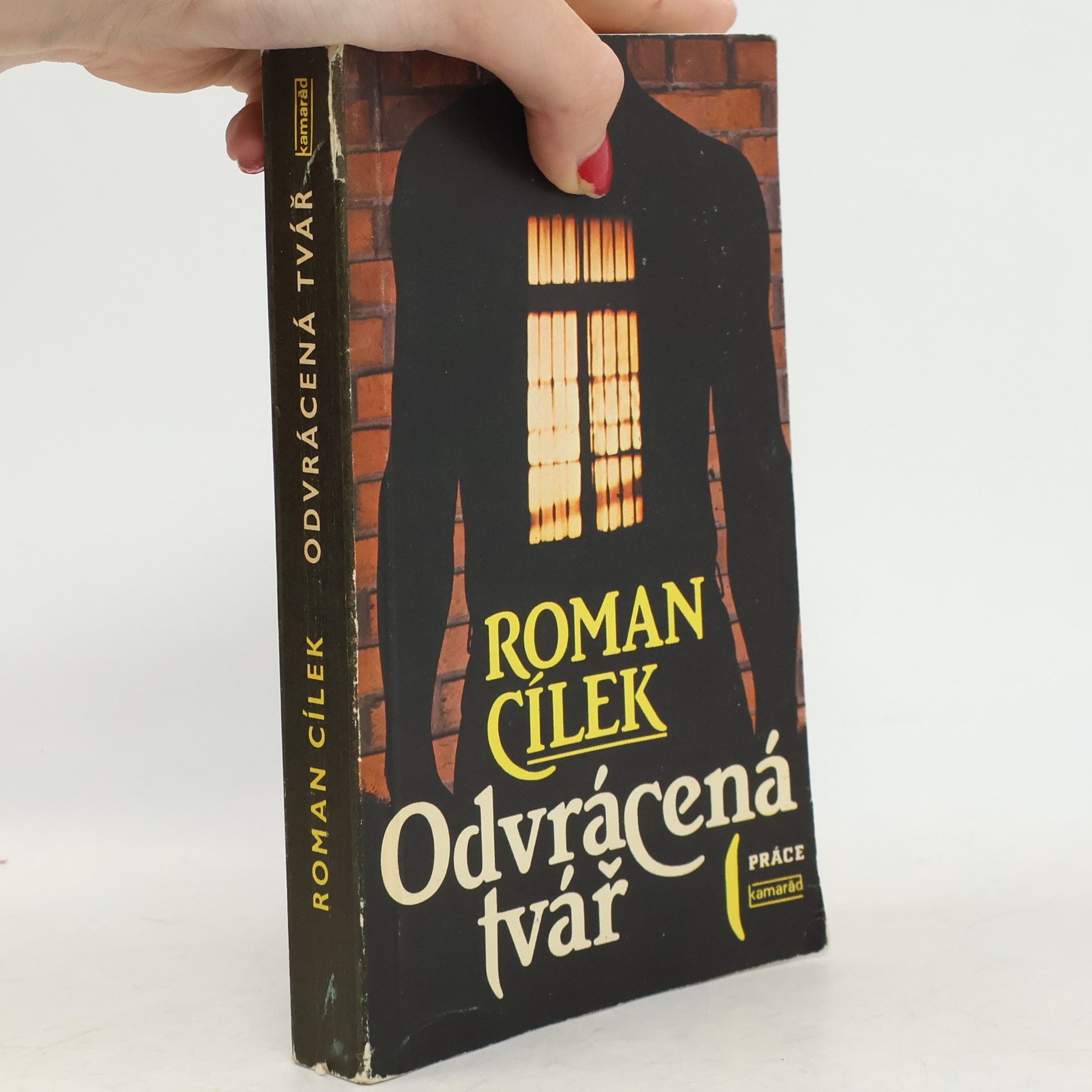 Roman Cílek Odvrácená tvář