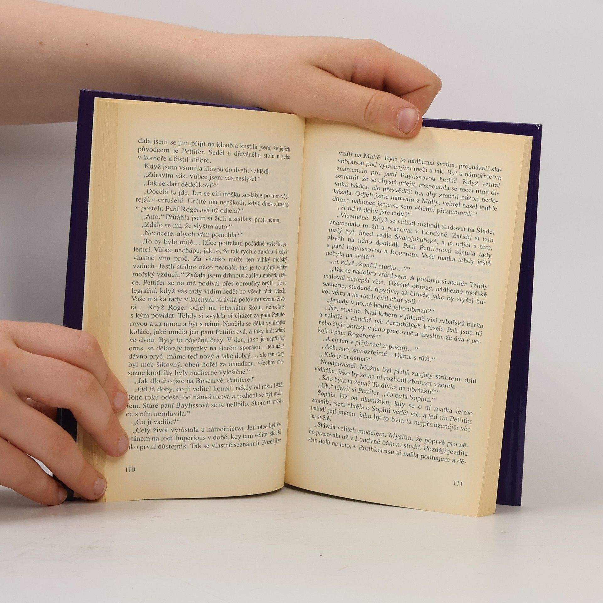 Rosamunde Pilcher Bouřlivé pobřeží