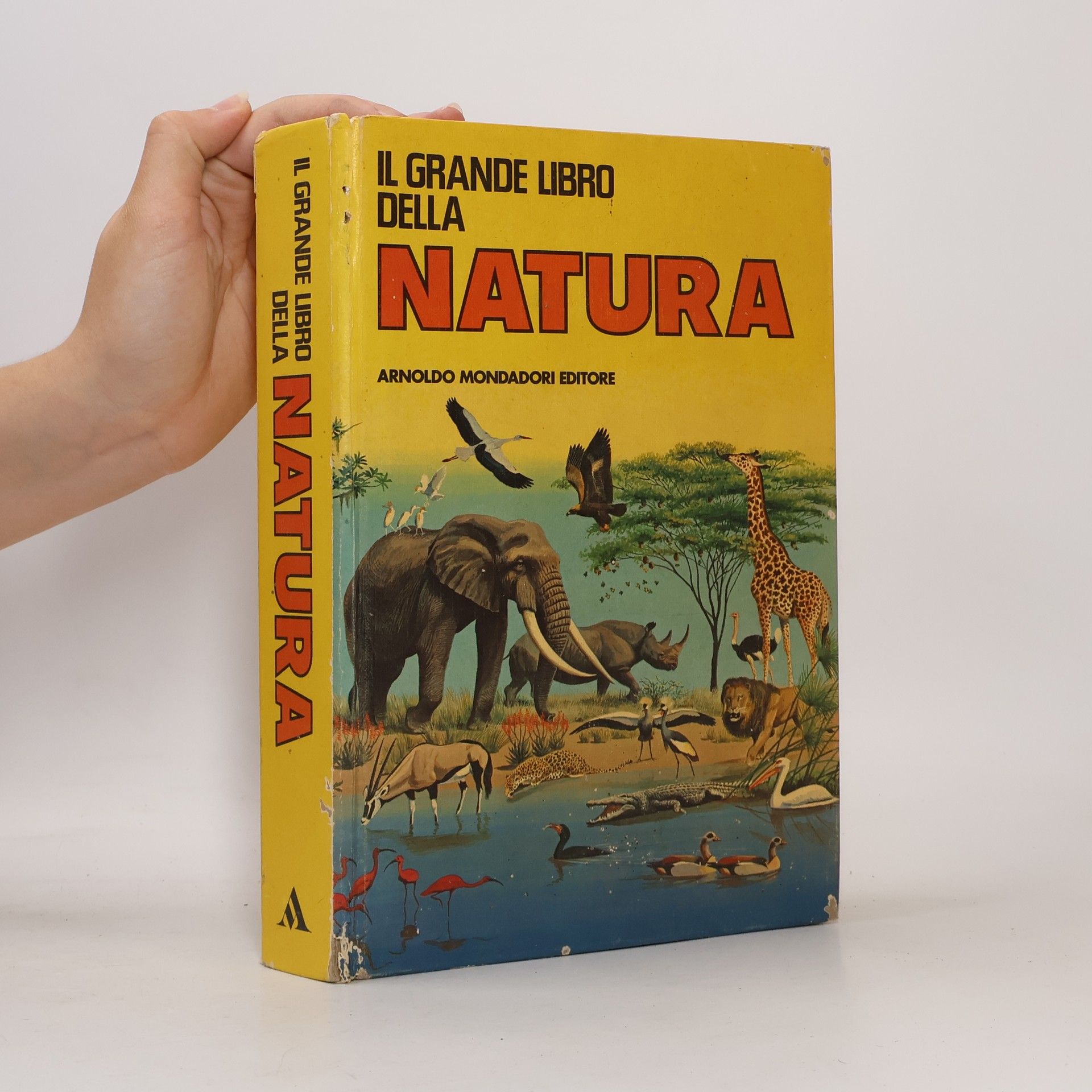 Autorenkollektiv Il grande libro della natura