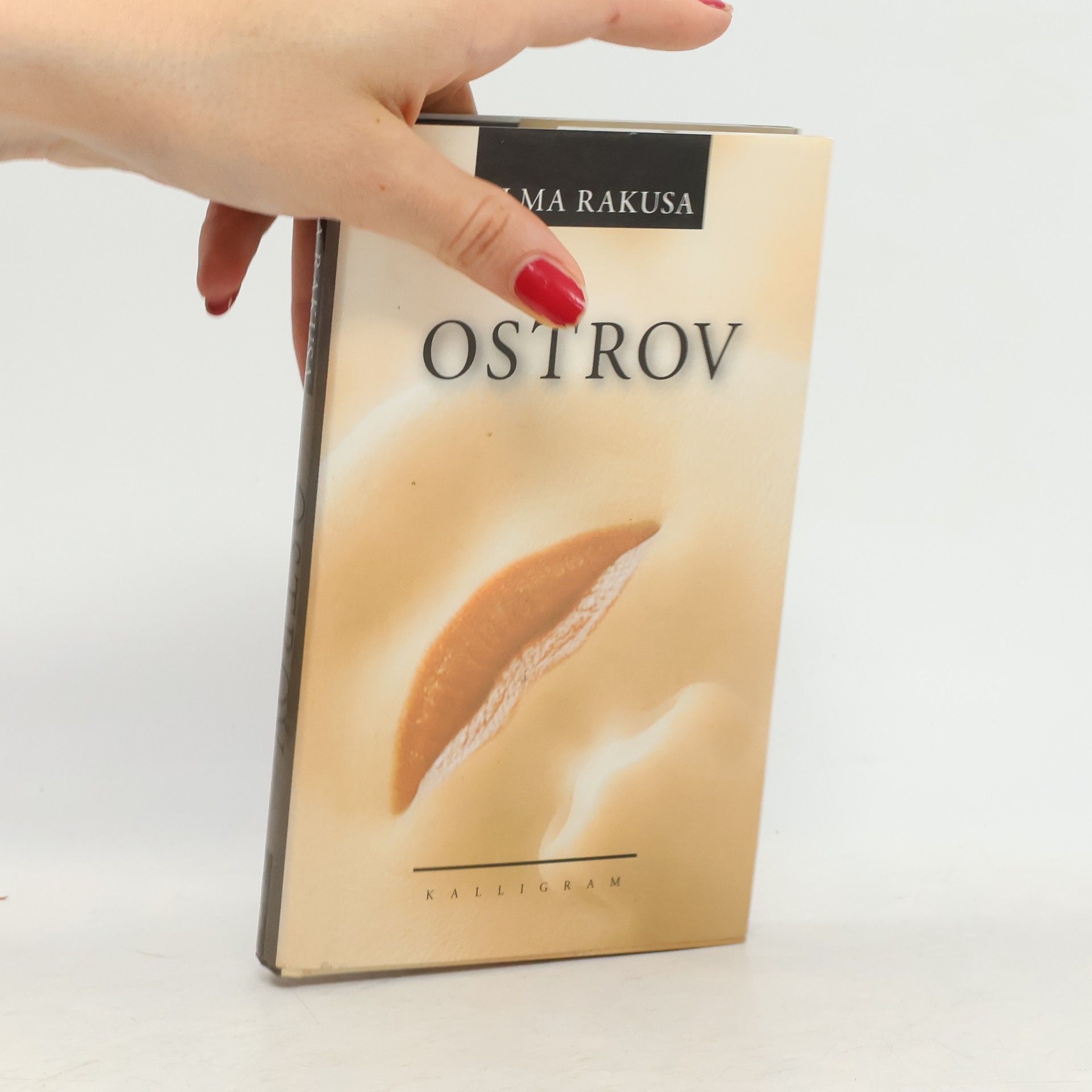 Ilma Rakusa Ostrov