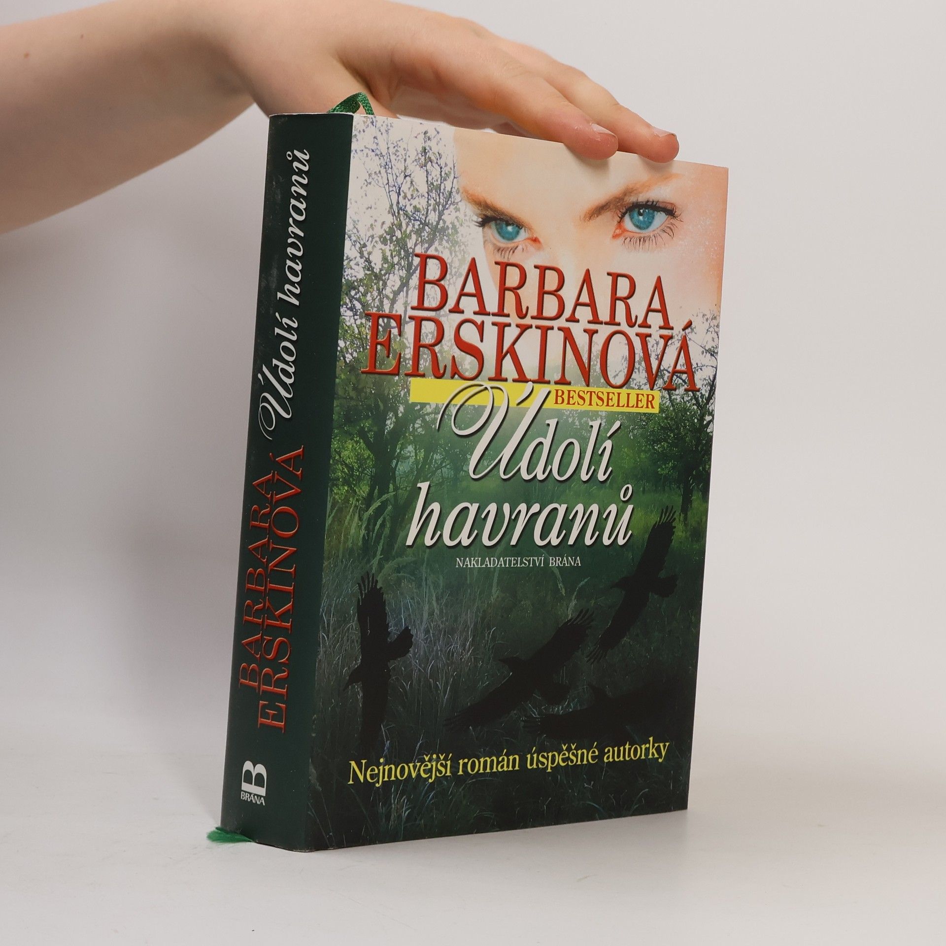 Barbara Erskinová Údolí havranů