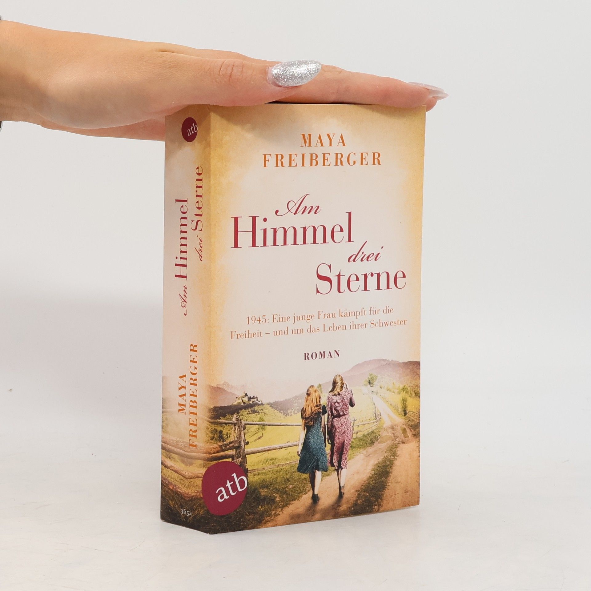 Maya Freiberger Am Himmel drei Sterne