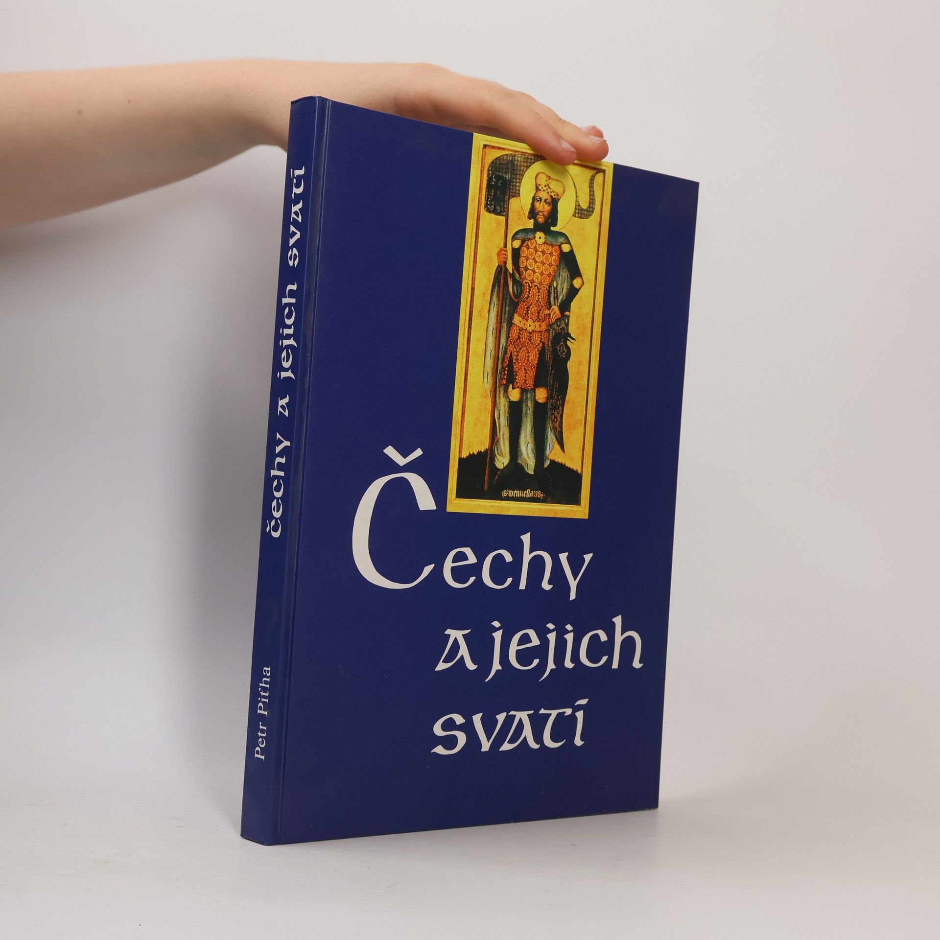 Petr Pit̕ha Čechy a jejich svatí