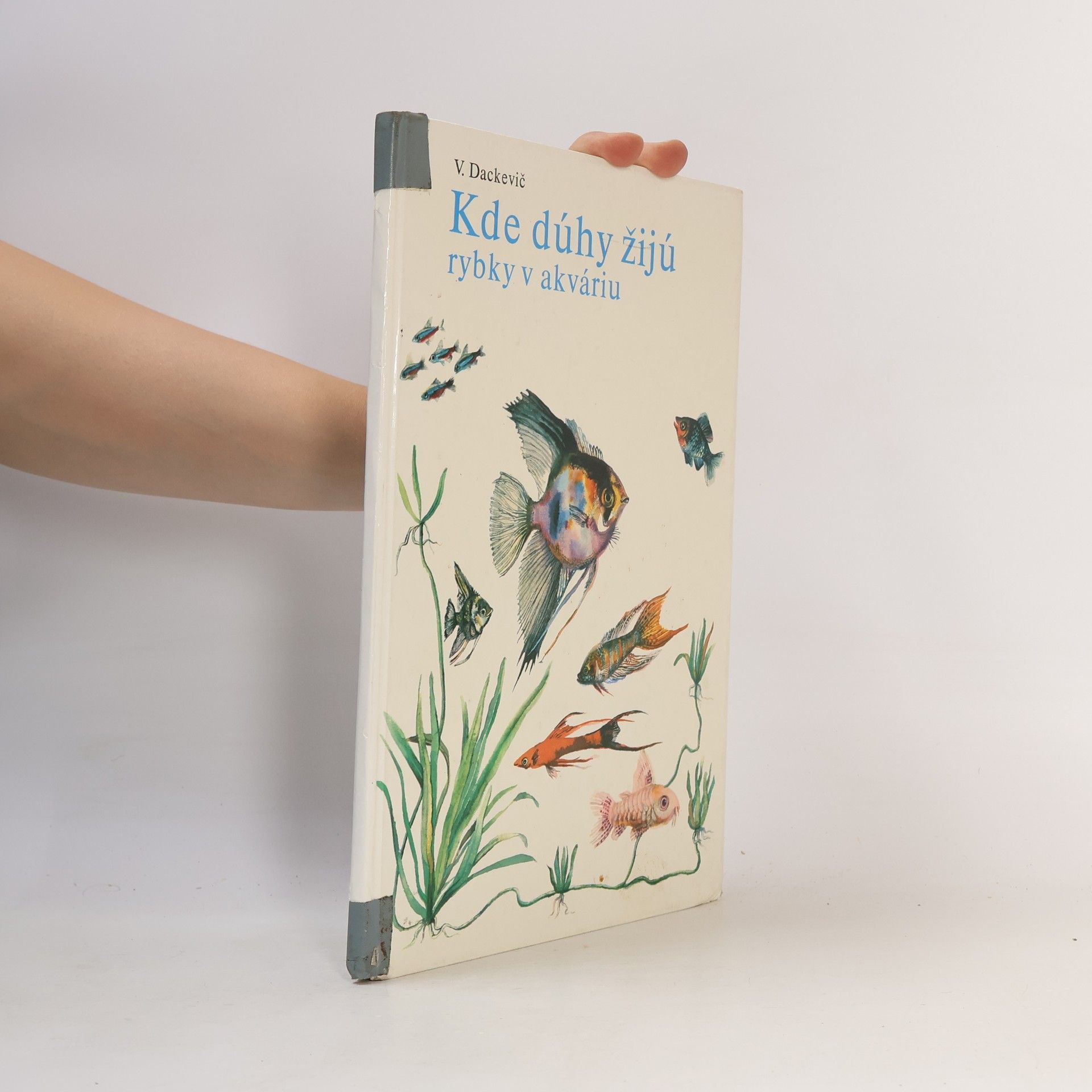 V. Dackevič Kde dúhy žijú. Rybky v akváriu